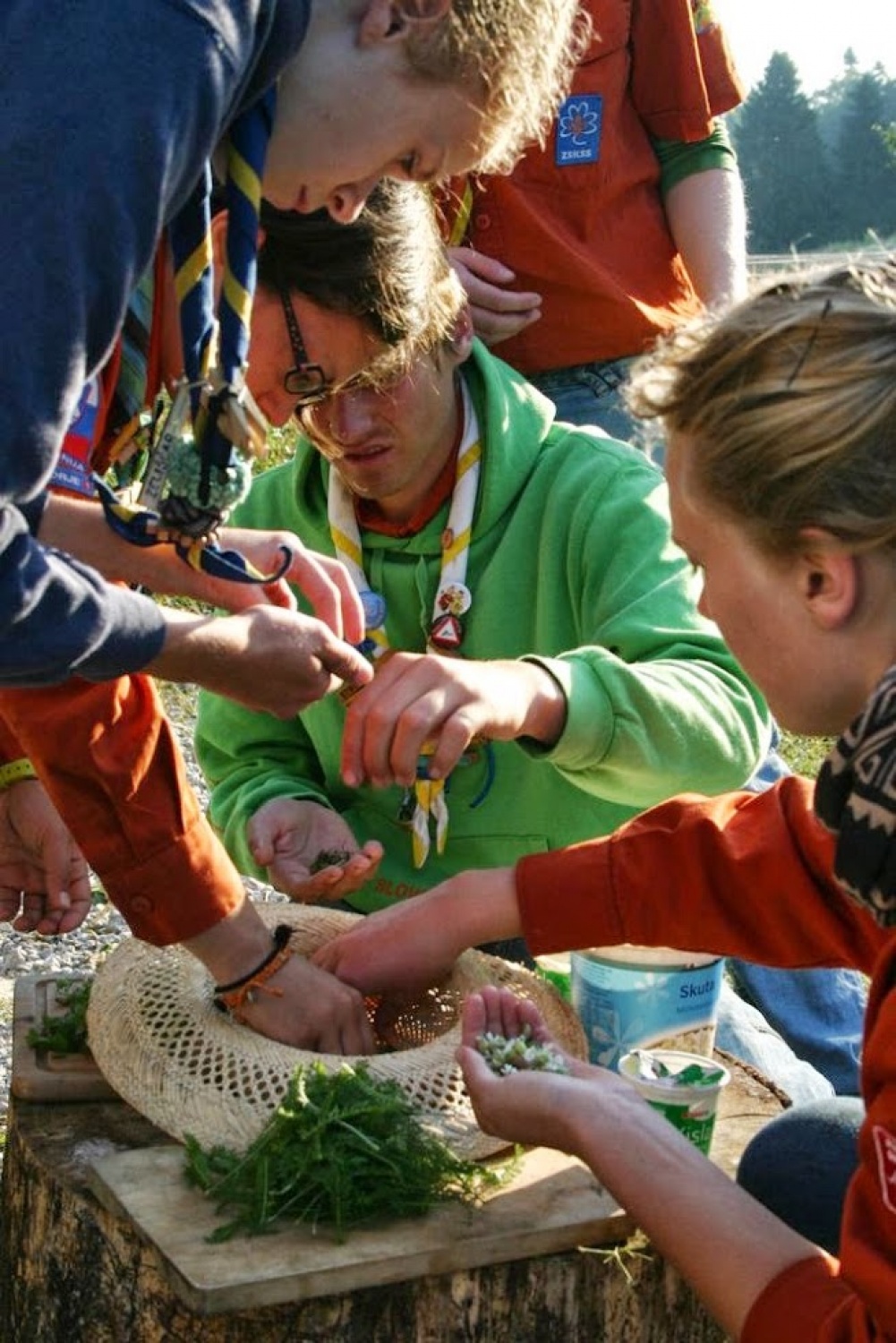 Ko medveda ni doma, skavti plešejo