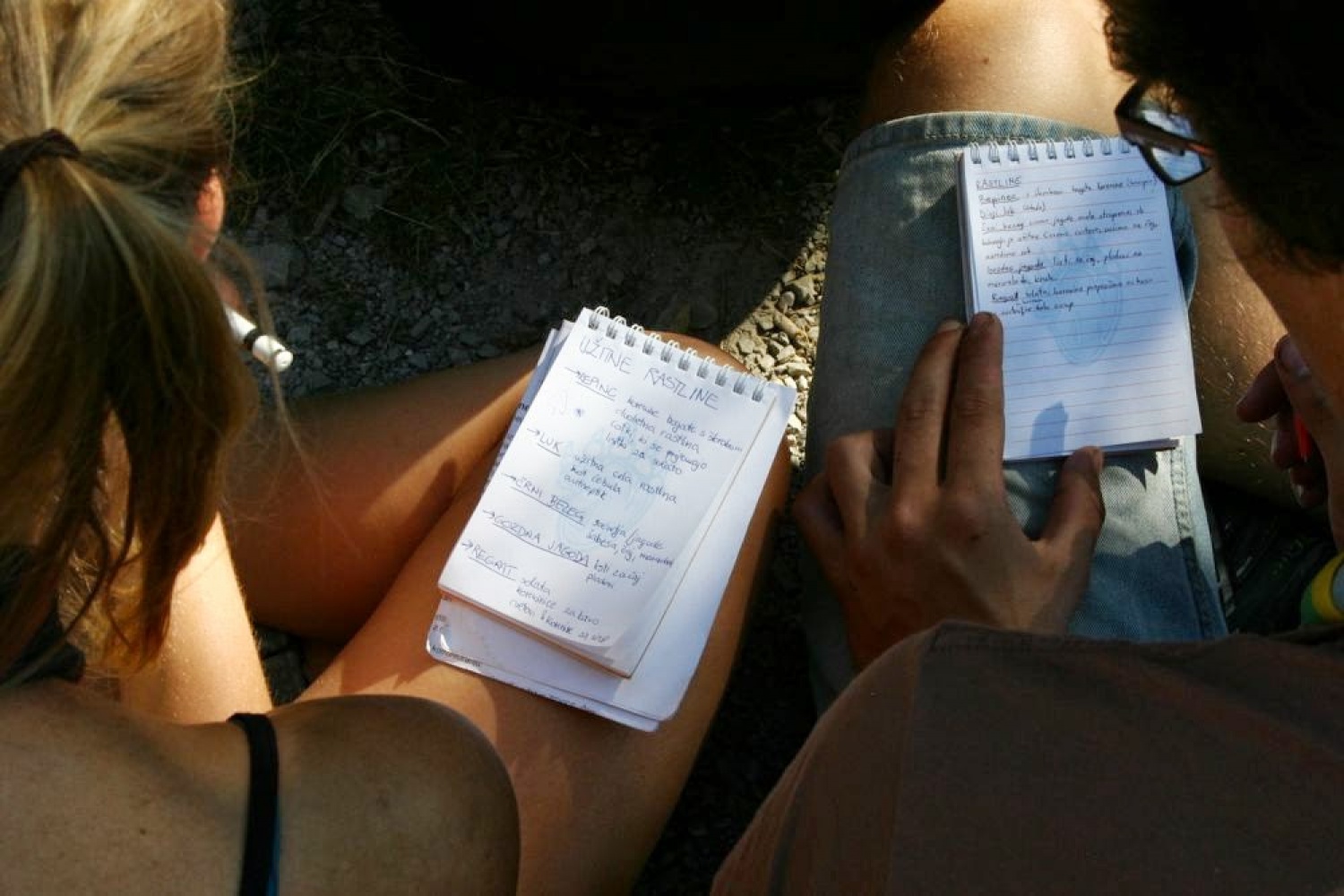 Ko medveda ni doma, skavti plešejo