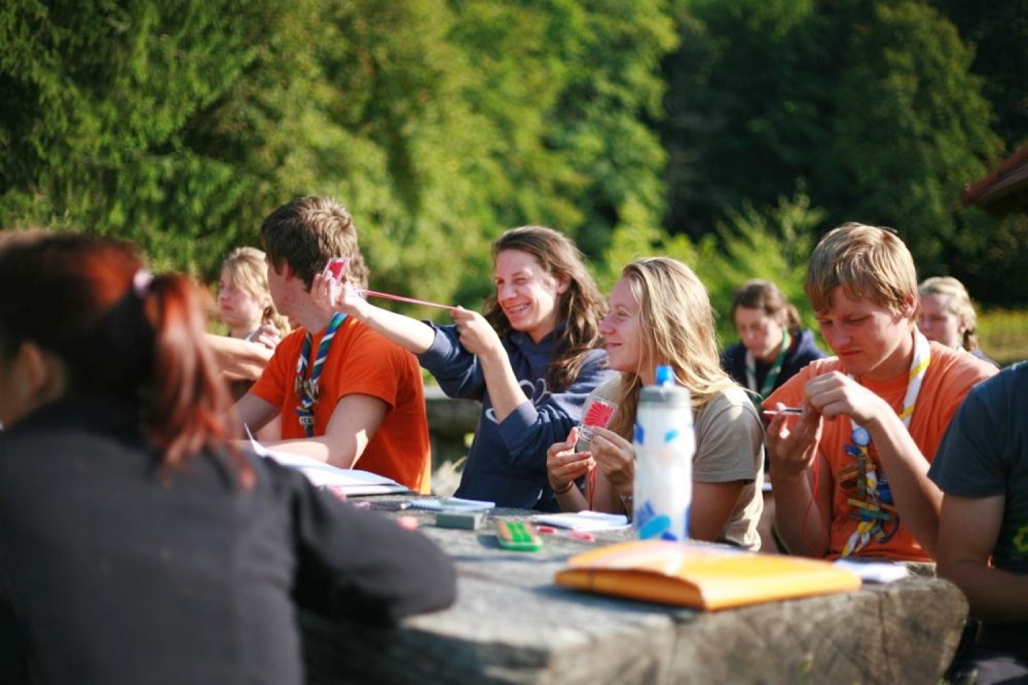 Ko medveda ni doma, skavti plešejo