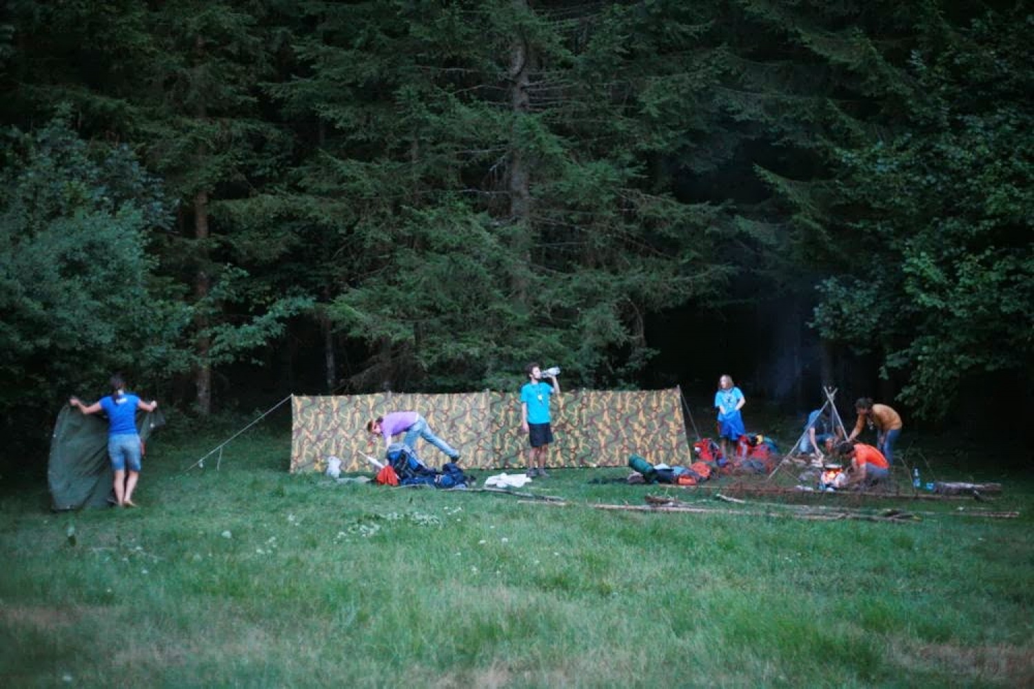 Ko medveda ni doma, skavti plešejo