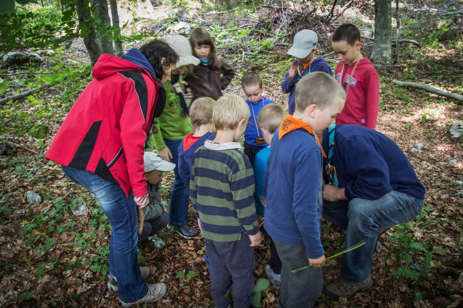 Katera sled pa je to?