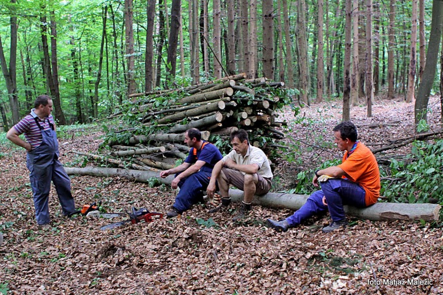 Za trenutek se odahnemo, delo čaka