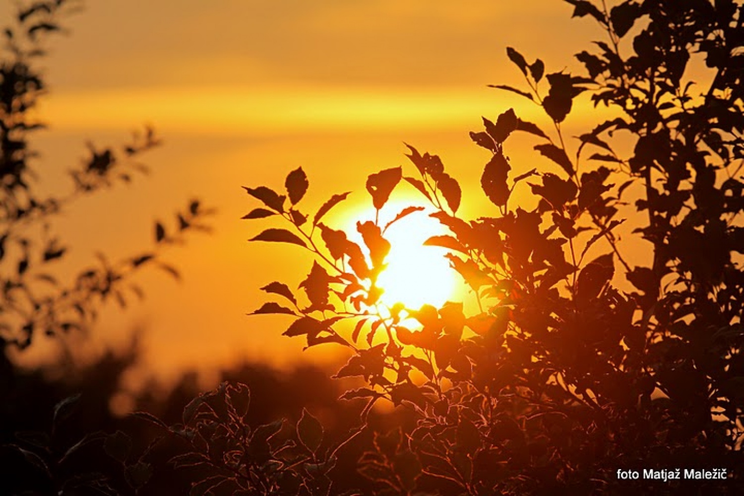 Dobro jutro, sonce