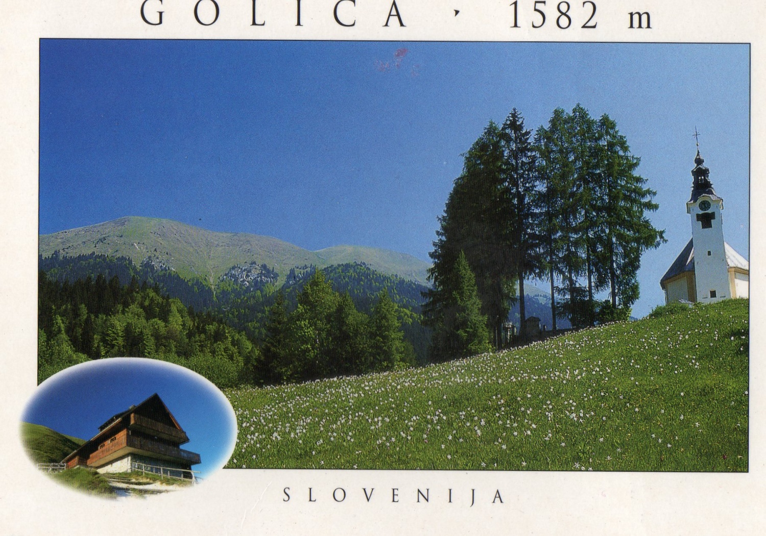 Golica