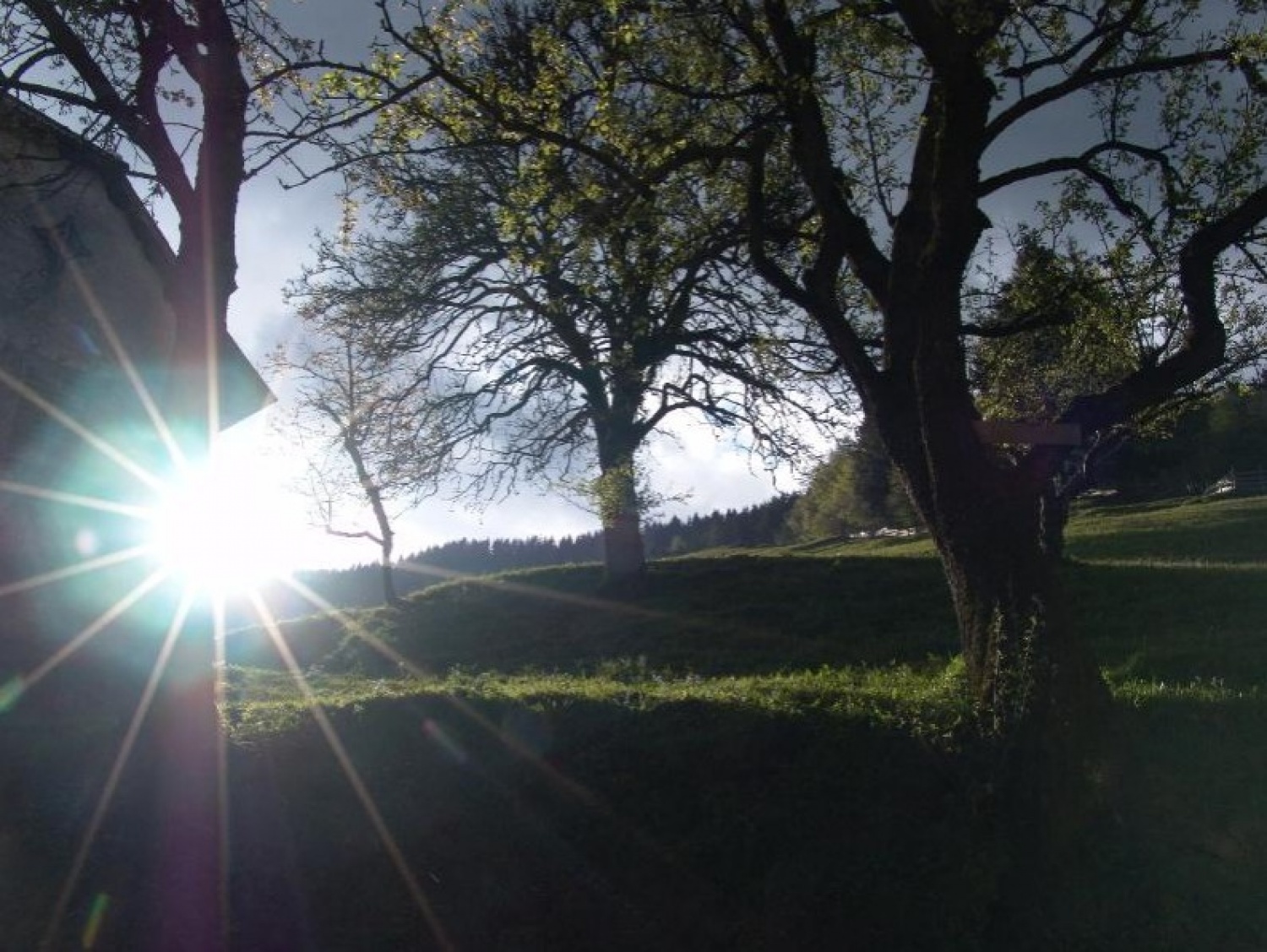 Večerni pozdrav sonca