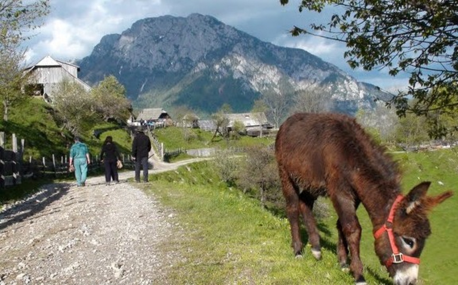 Delo je končano - idila
