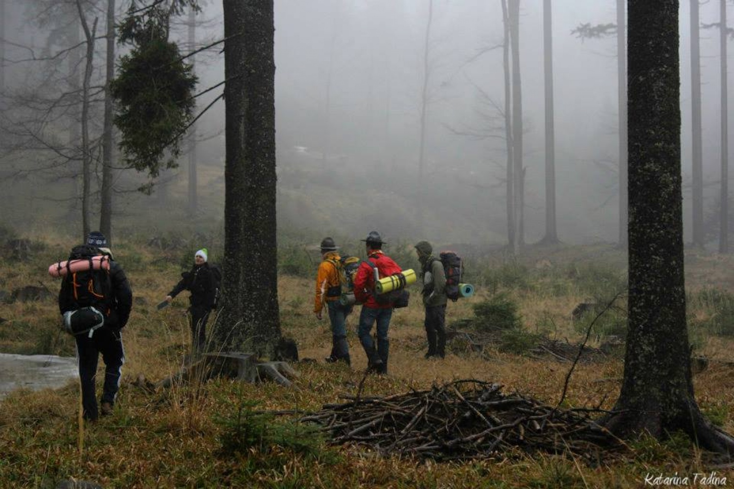 Kaj imata skupnega Zlata lisica in Beli jelen?