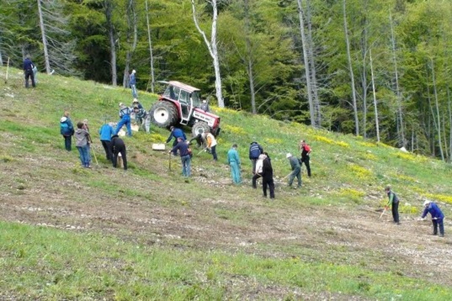 Odstranjevanje kamenja na Knezovem travniku.