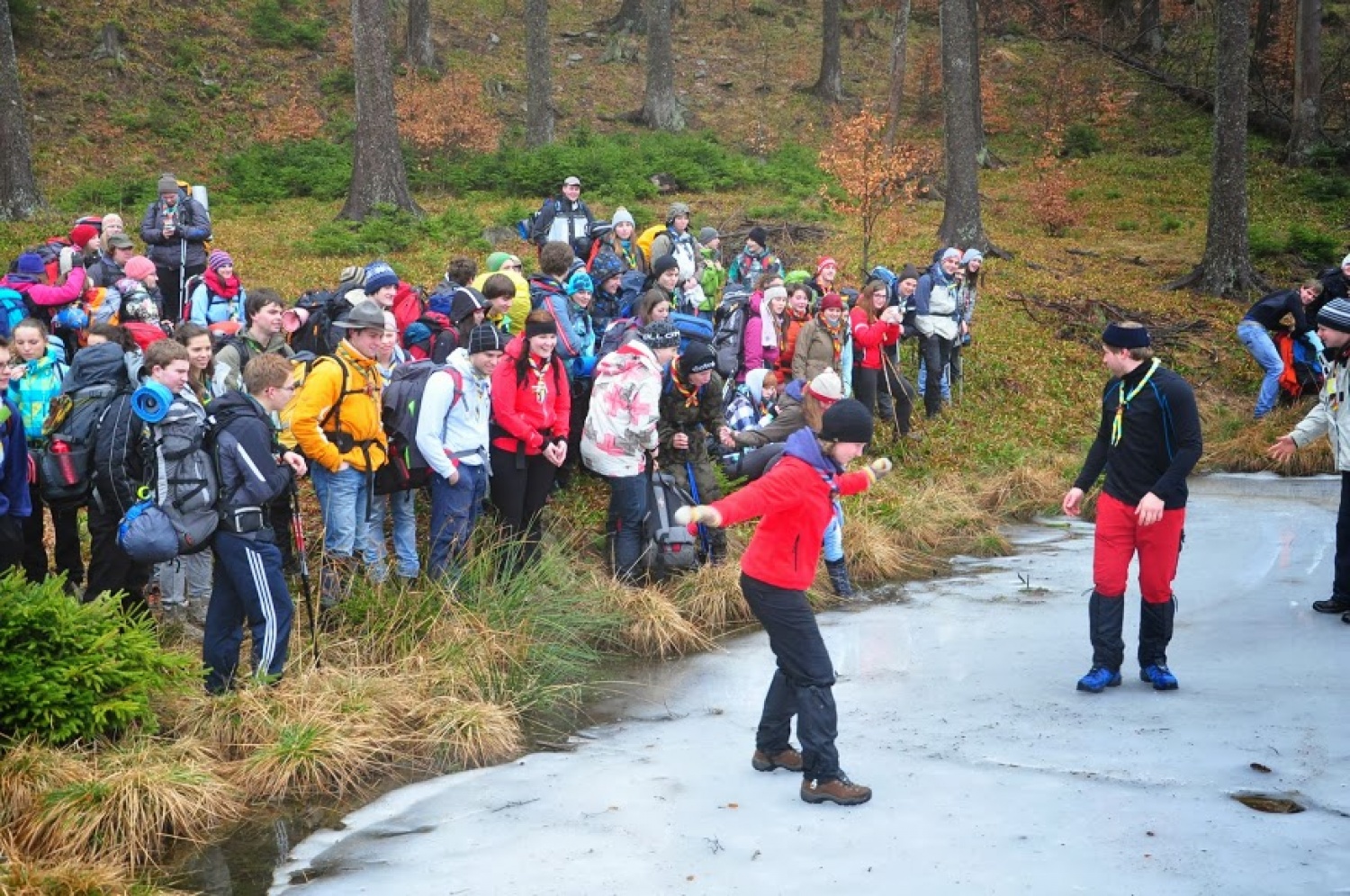 Kaj imata skupnega Zlata lisica in Beli jelen?