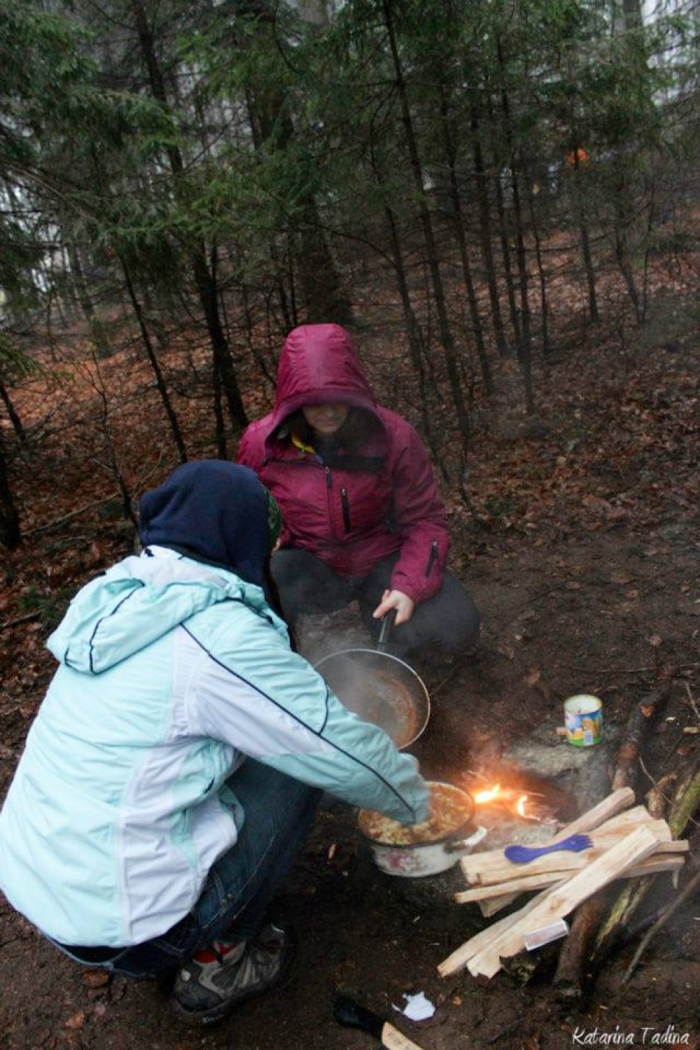 Kaj imata skupnega Zlata lisica in Beli jelen?
