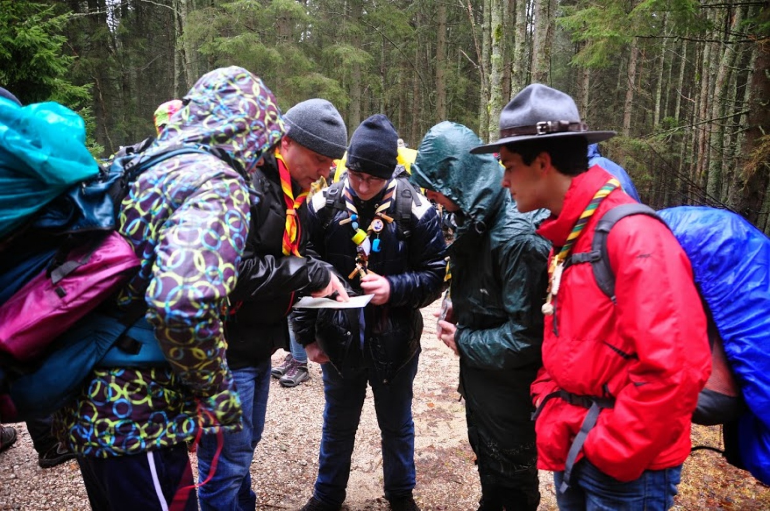 Kaj imata skupnega Zlata lisica in Beli jelen?