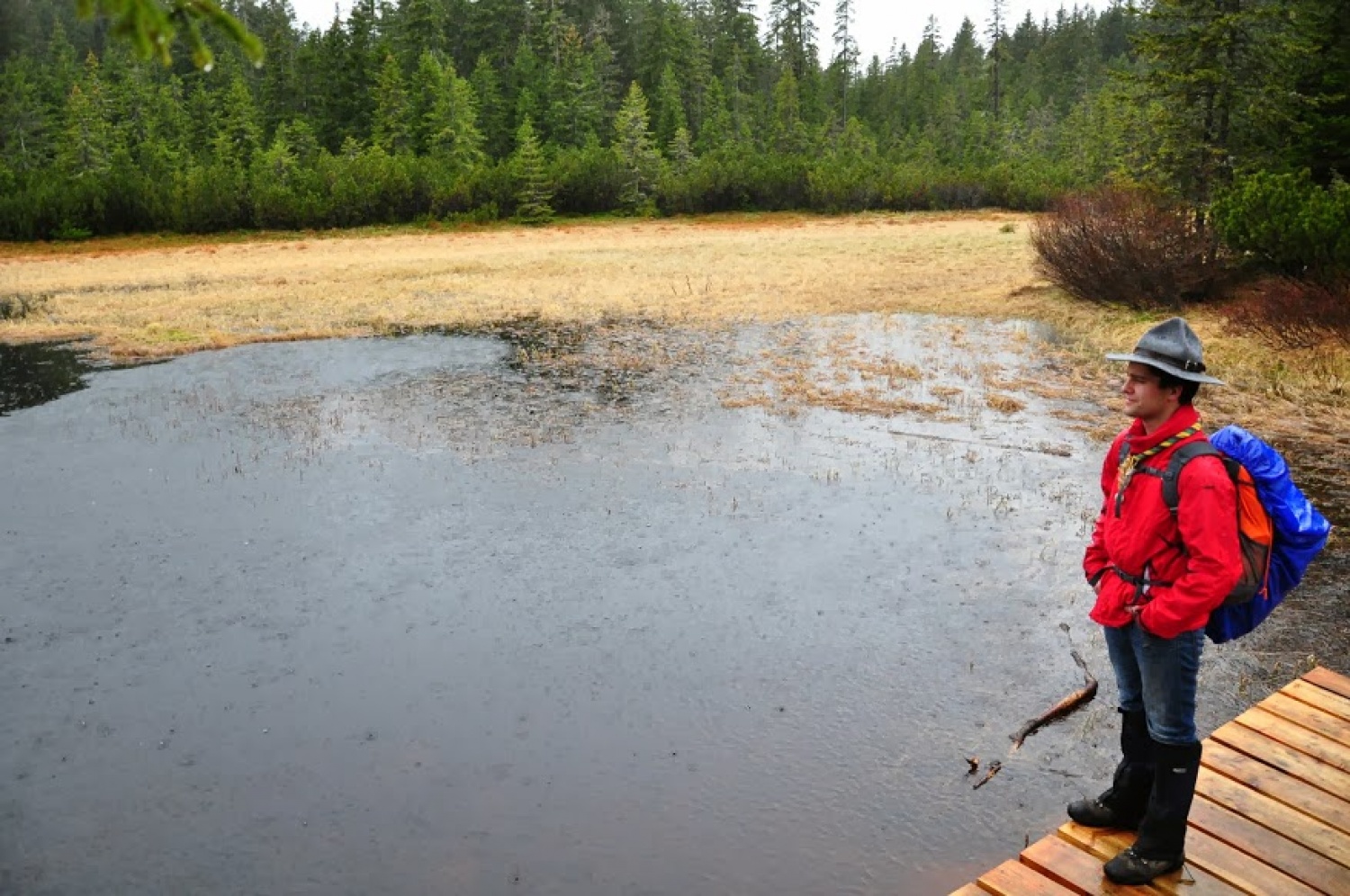 Kaj imata skupnega Zlata lisica in Beli jelen?