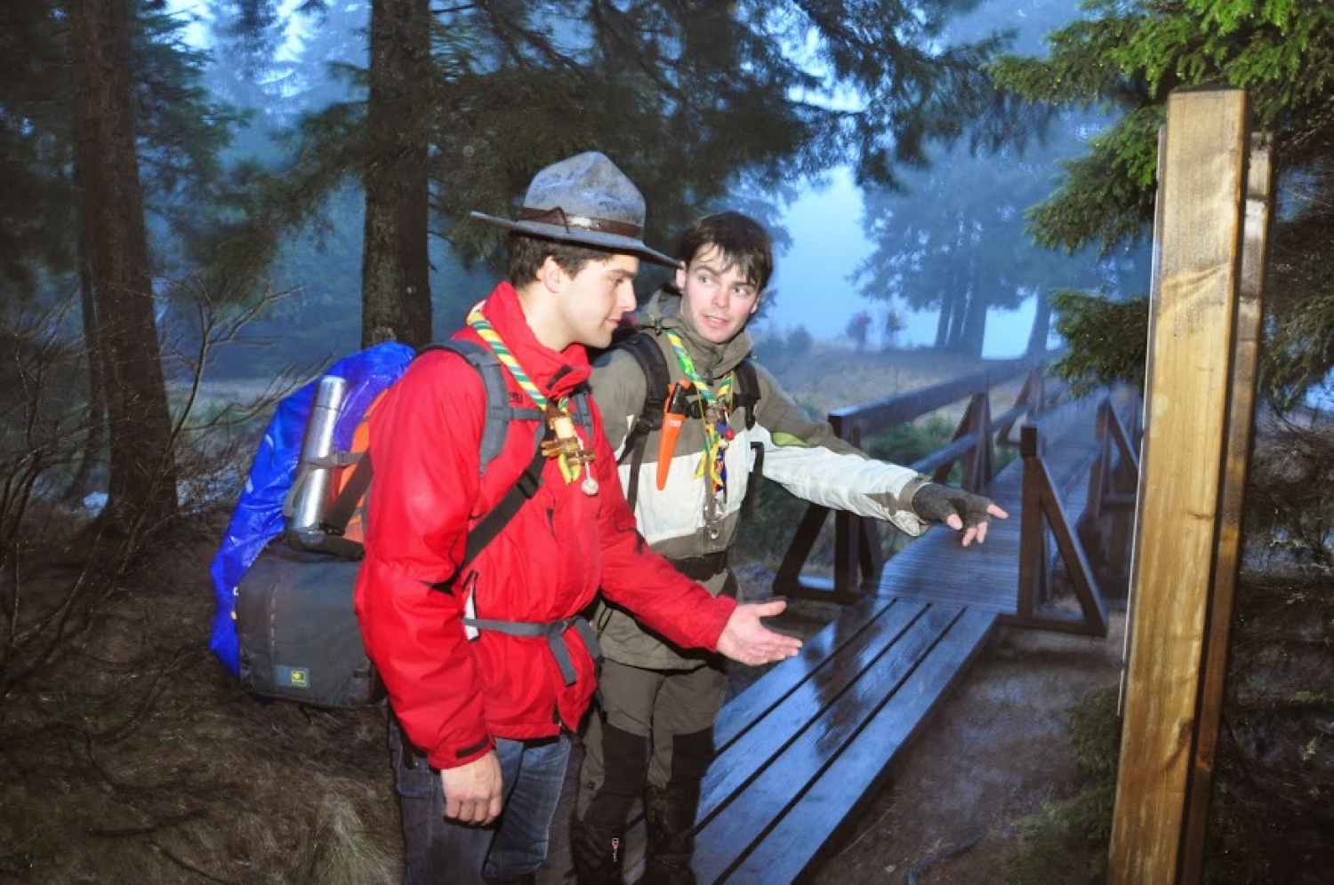 Kaj imata skupnega Zlata lisica in Beli jelen?