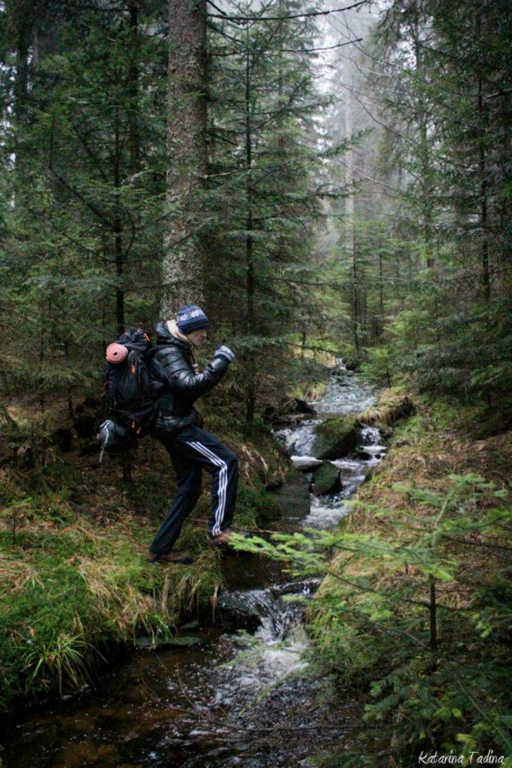 Kaj imata skupnega Zlata lisica in Beli jelen?