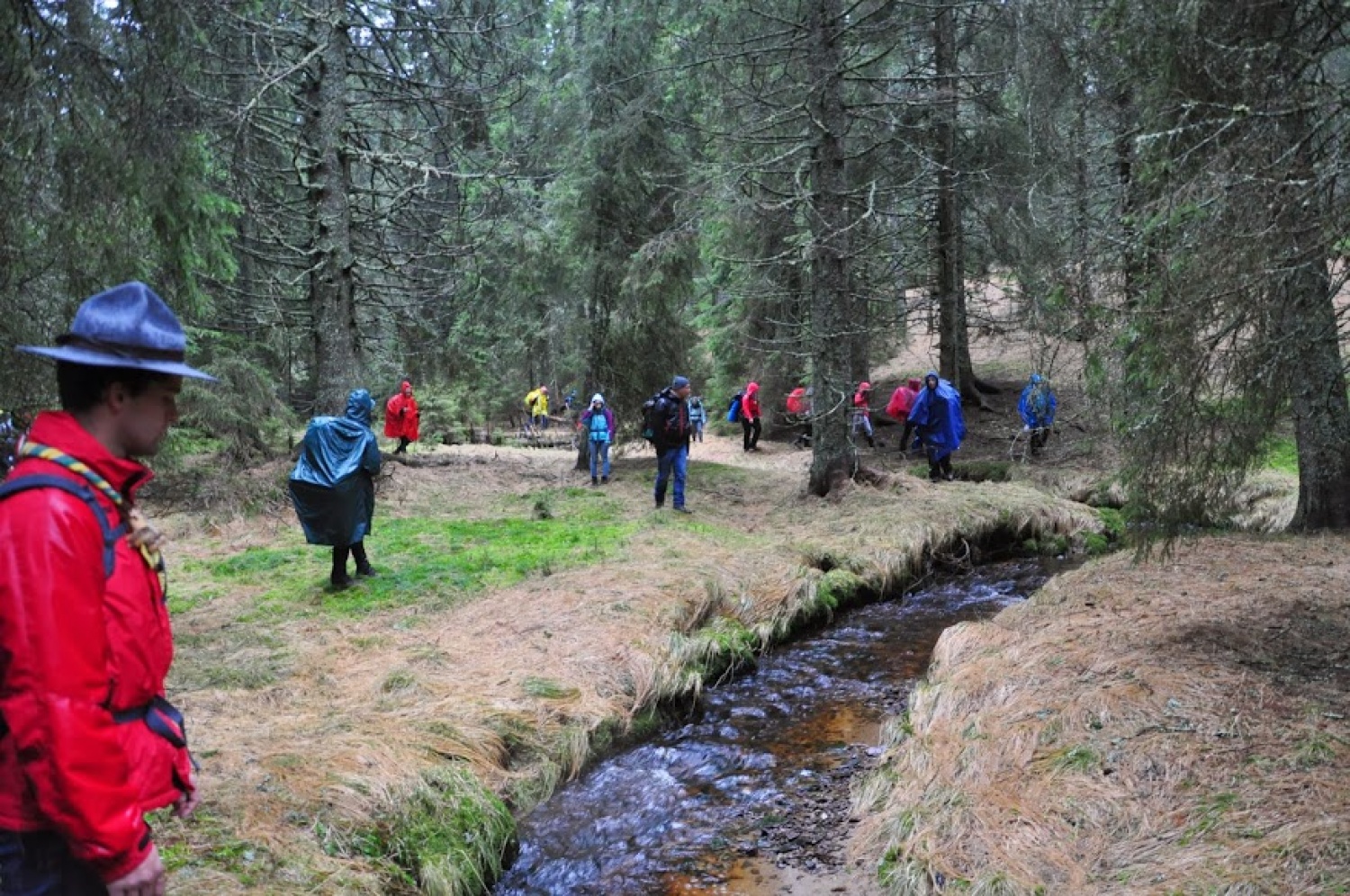 Kaj imata skupnega Zlata lisica in Beli jelen?
