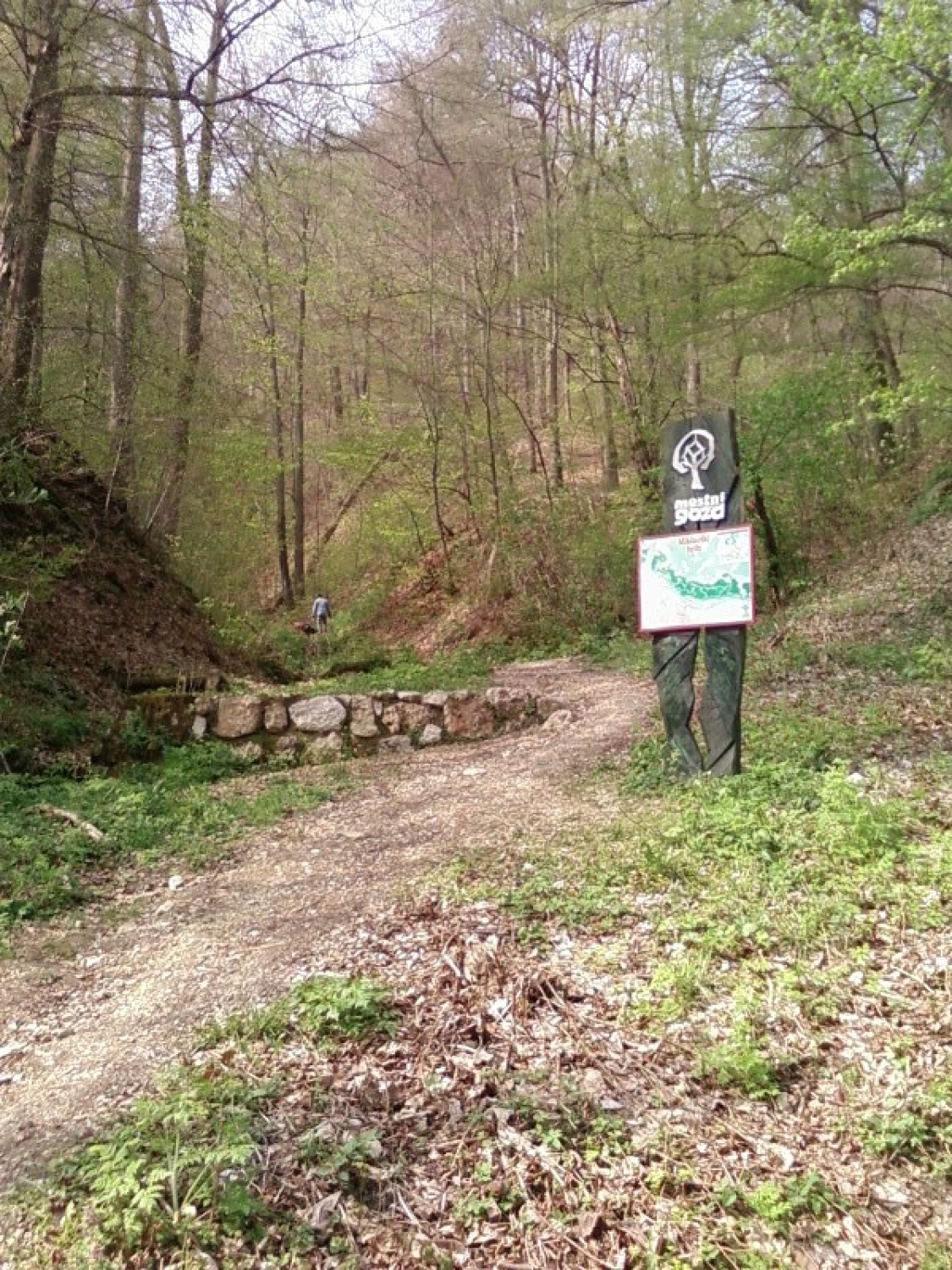 Grapa, kjer se začne tudi mestni gozd.