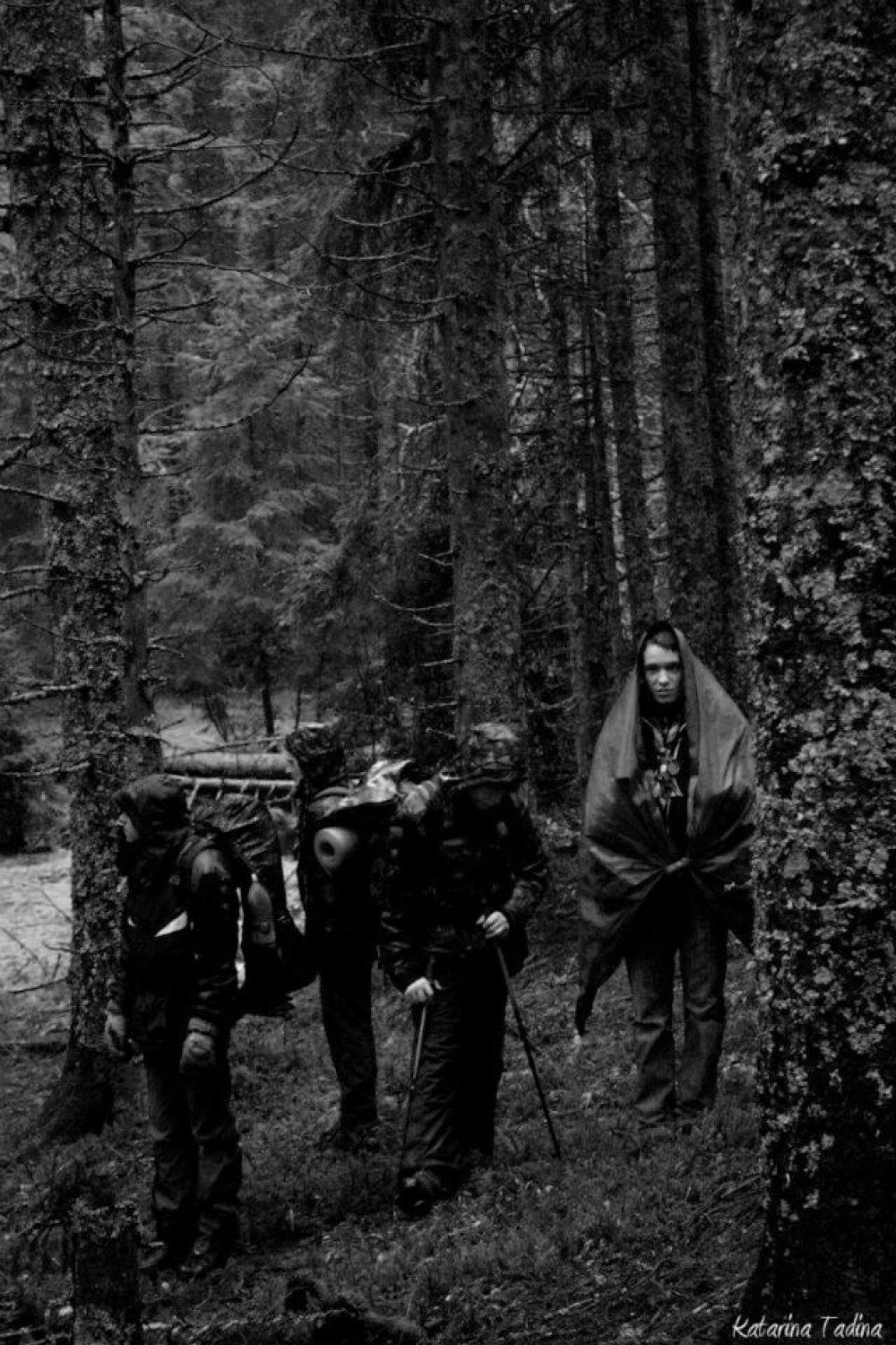 Kaj imata skupnega Zlata lisica in Beli jelen?