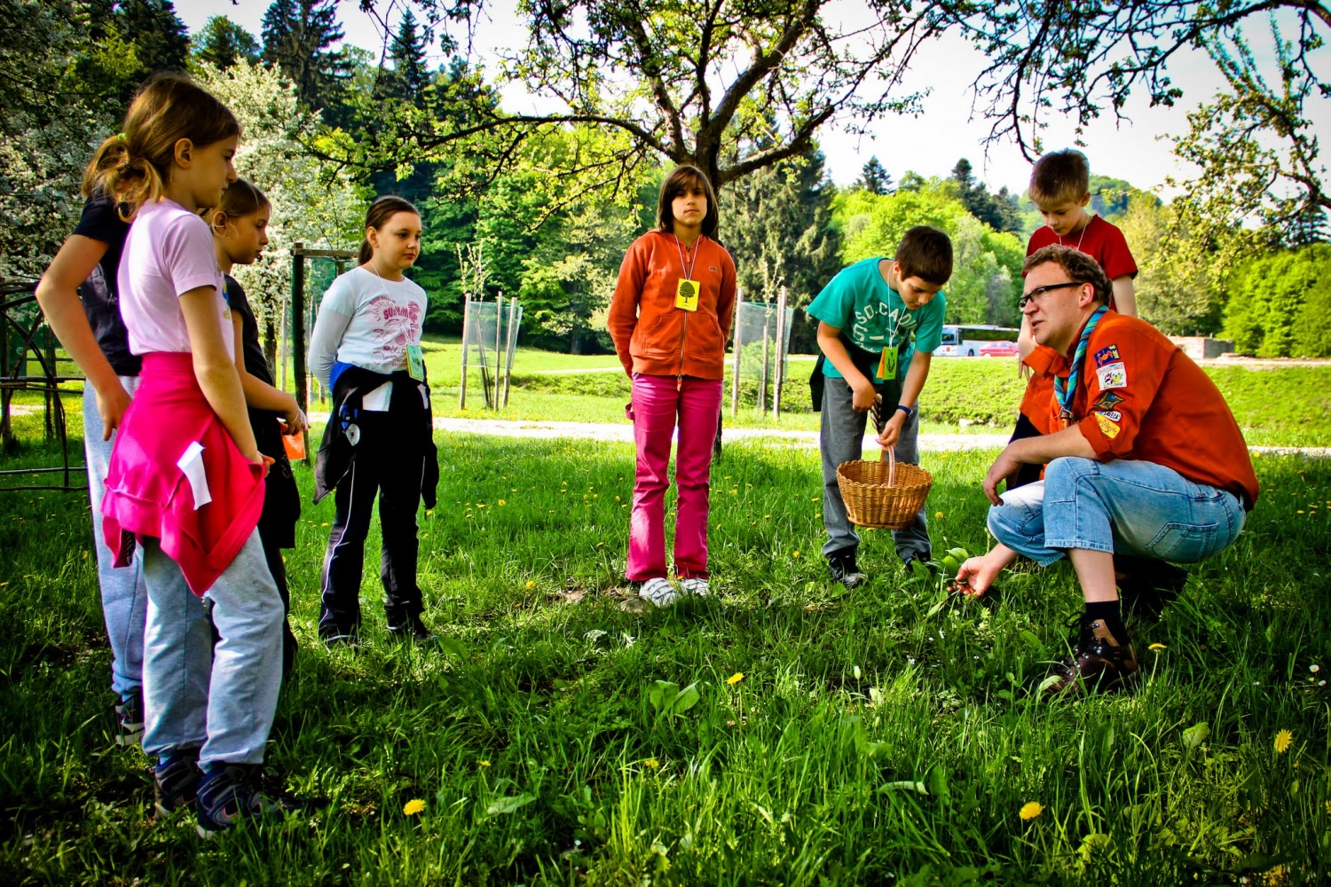 Spoznavanje in nabiranje zelišč