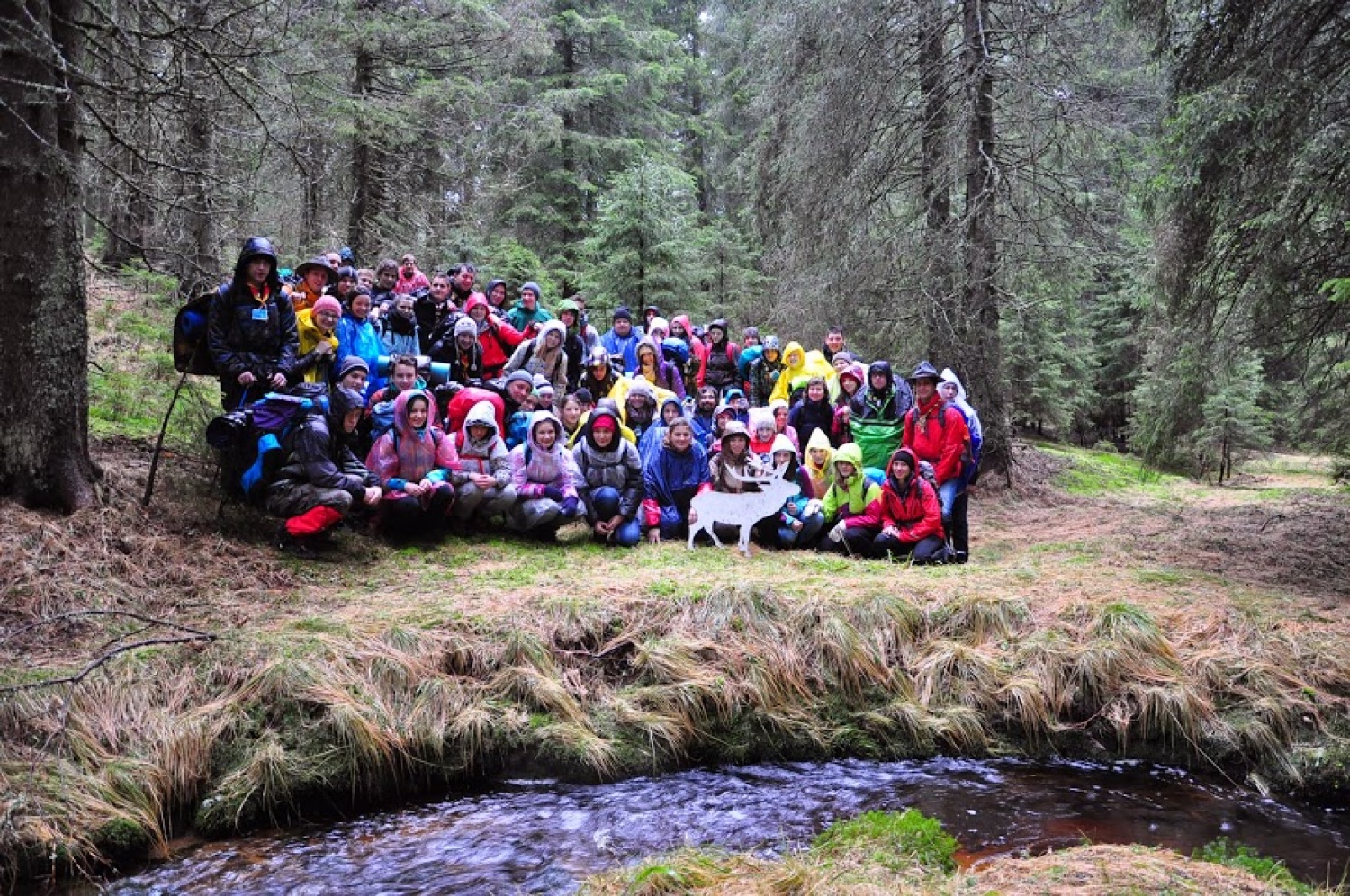 Kaj imata skupnega Zlata lisica in Beli jelen?