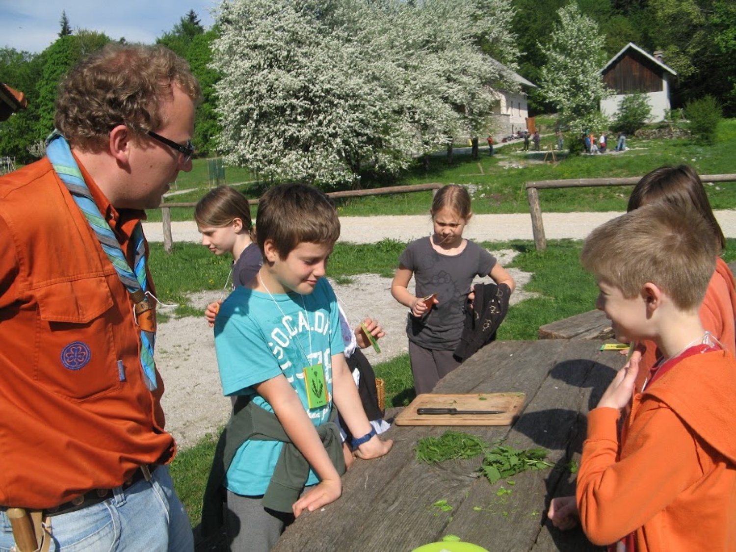 Priprava zeliščnega namaza