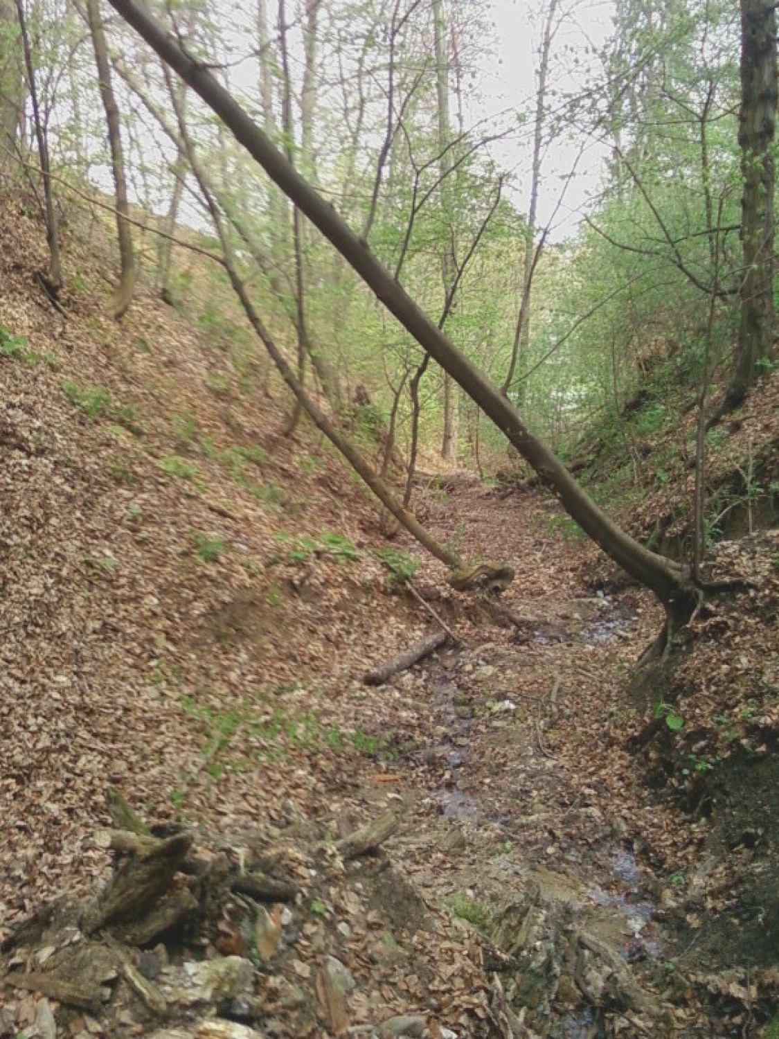 Končno očiščena grapa je zasijala v lepoti.