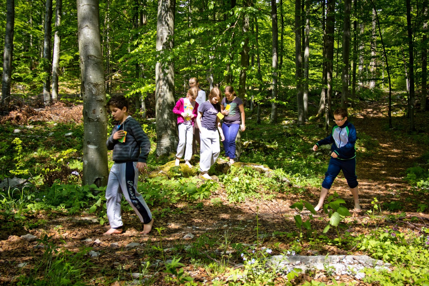 Spoznavanje narave s čutili