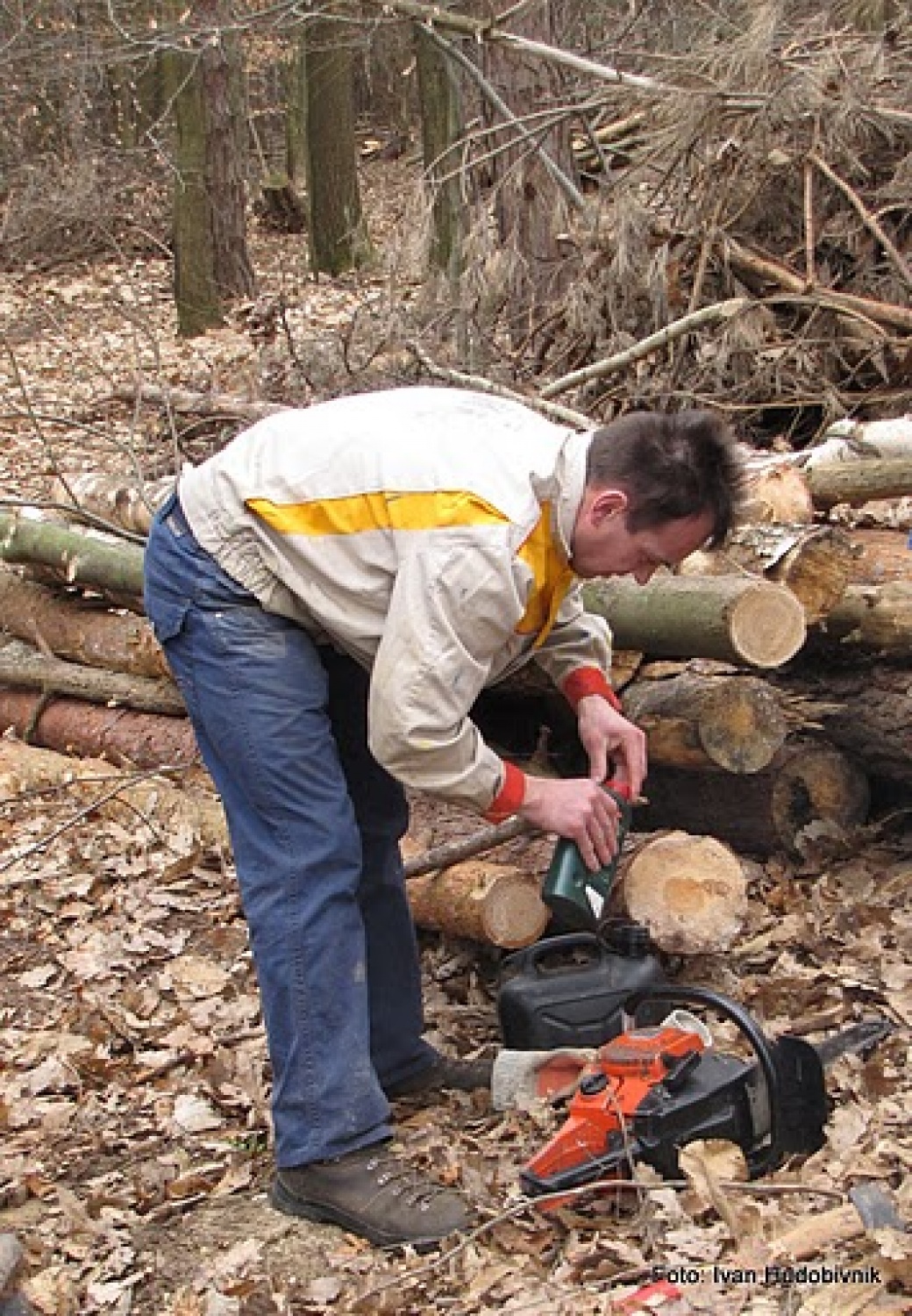 Žejna motorna žaga