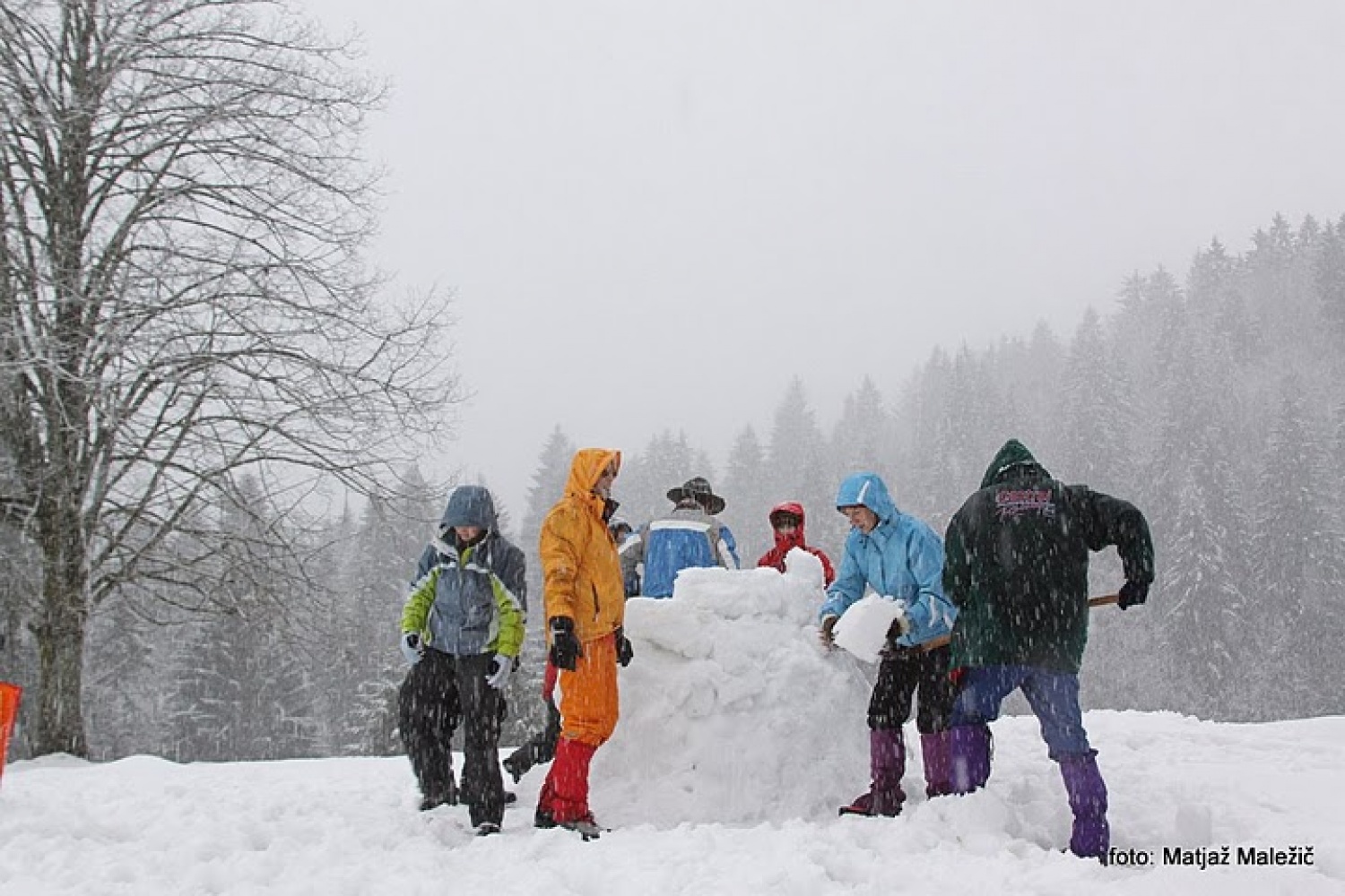 Zidanje bivakov v snežnem metežu