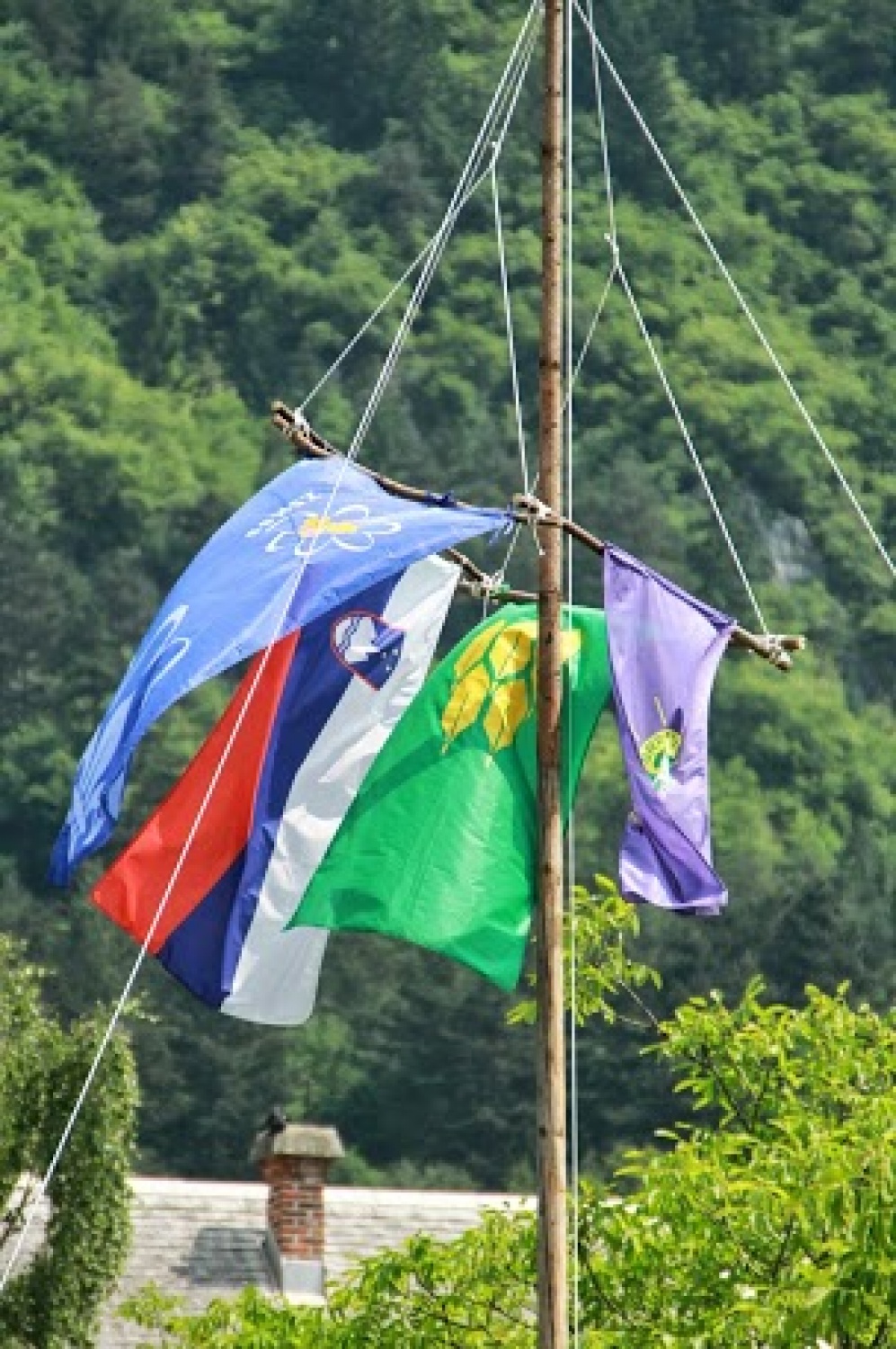 Že dvajset let grejemo svet