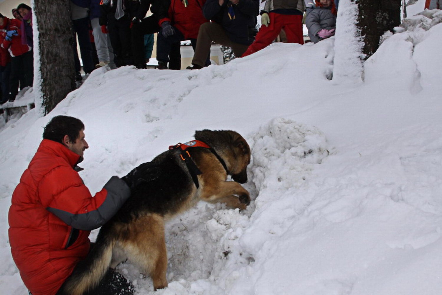 Iskanje ponesrečenca v plazu