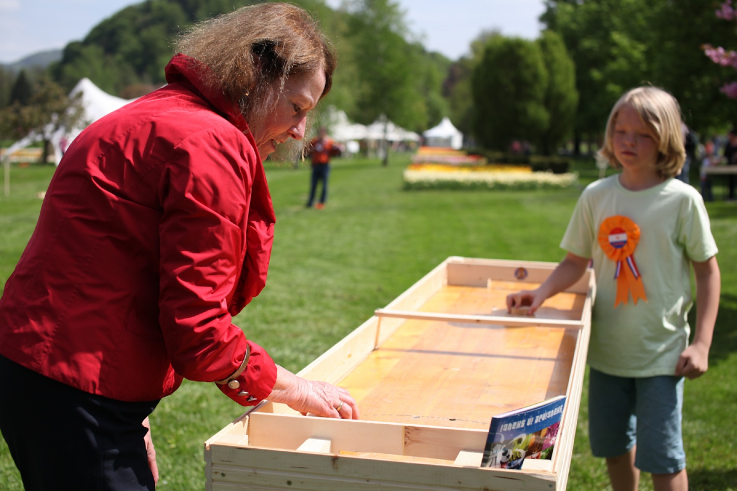 Nizozemska in skavti