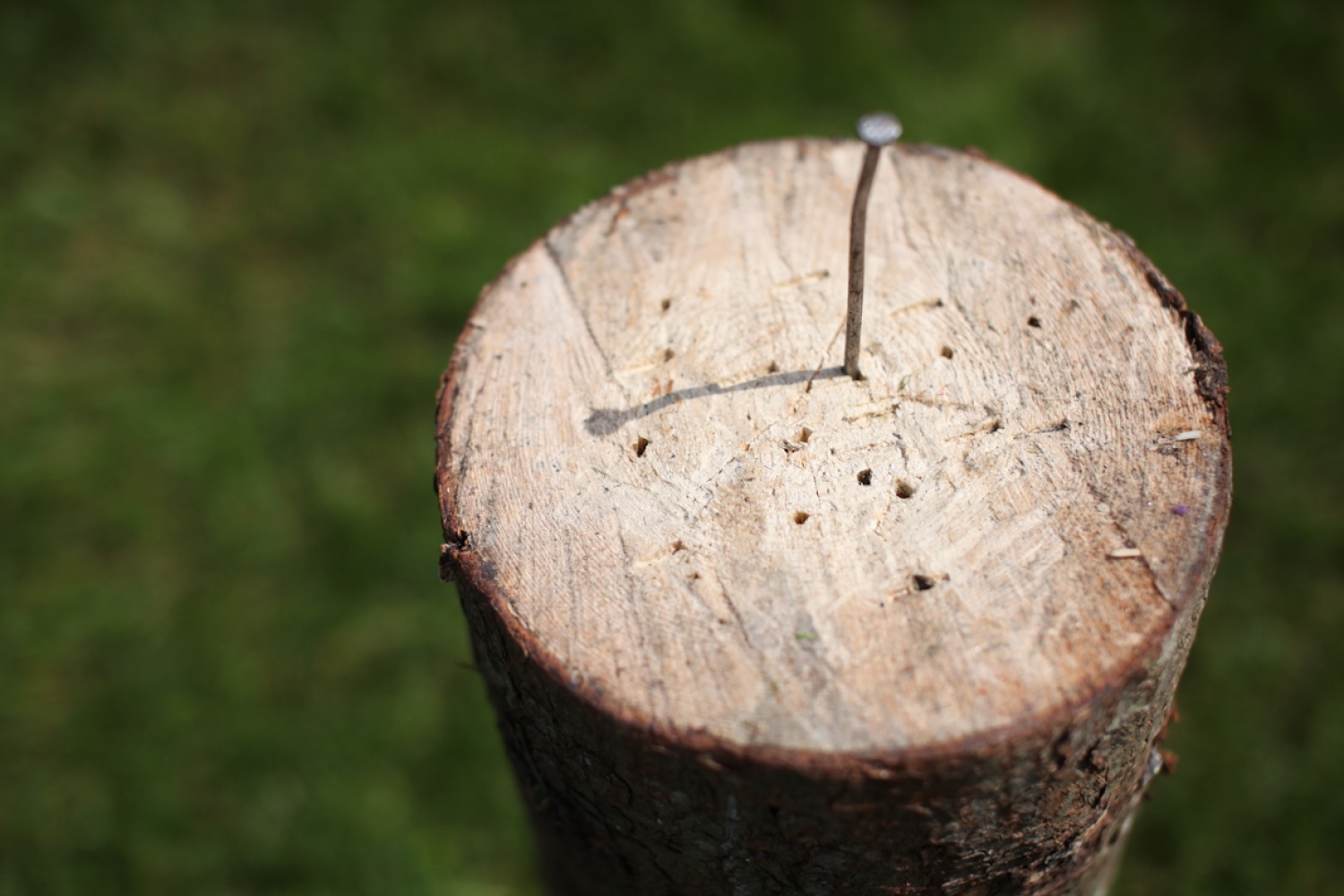 Nizozemska in skavti