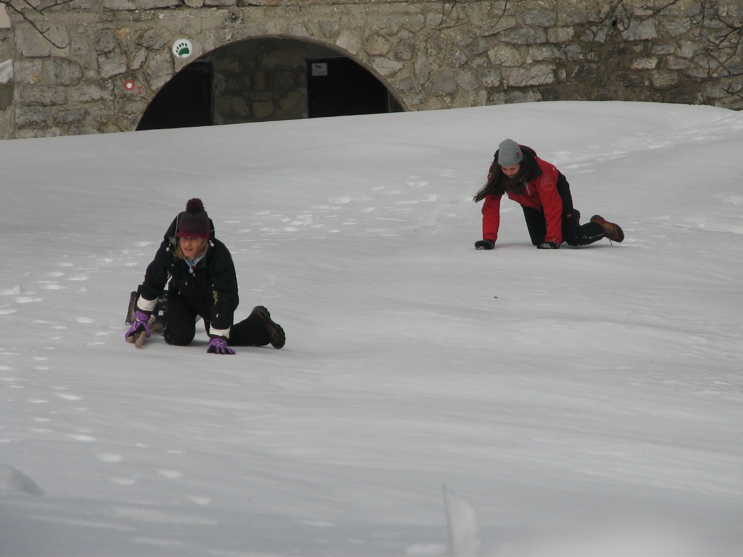 Plazenje po snegu
