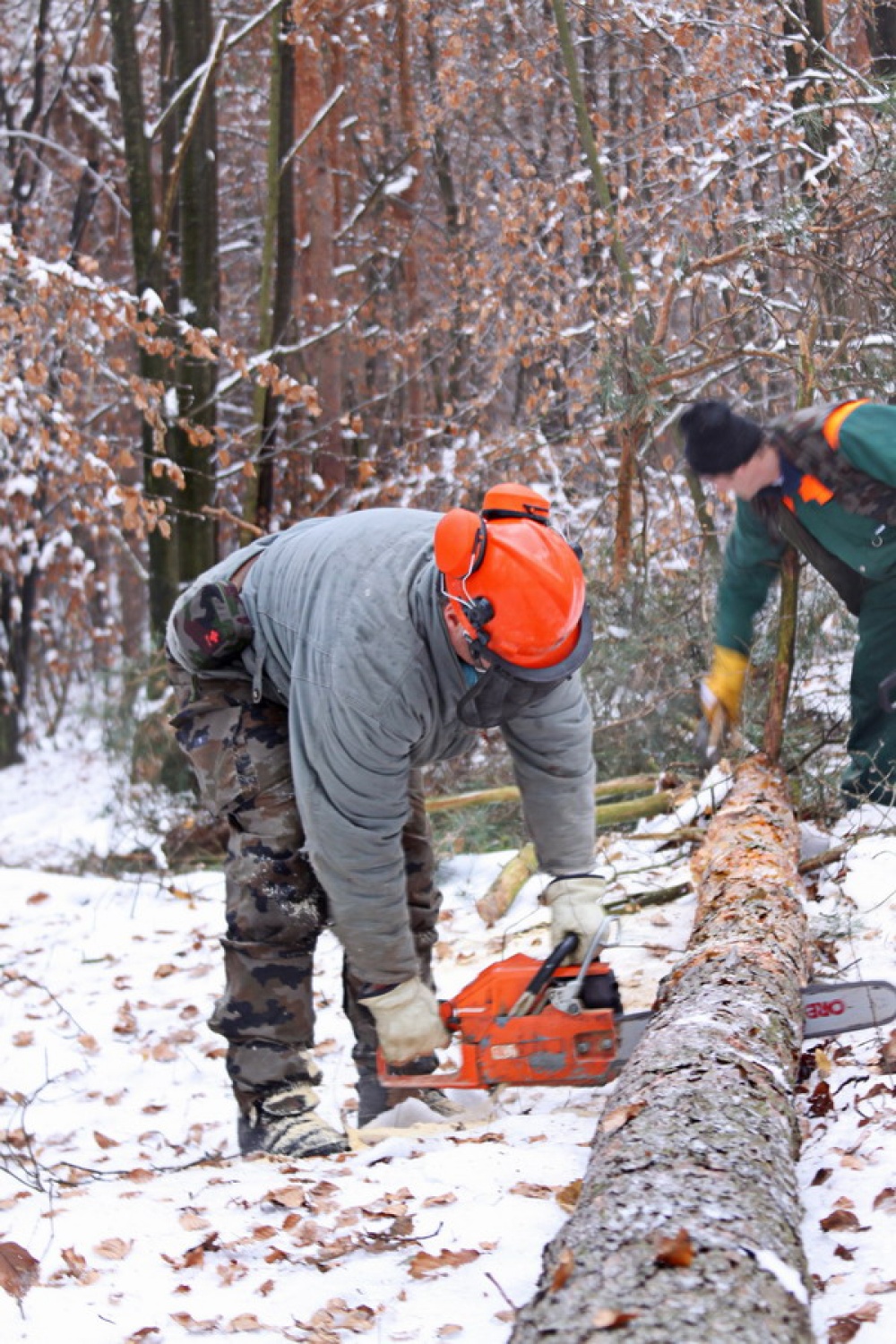 Jeseničana pri delu