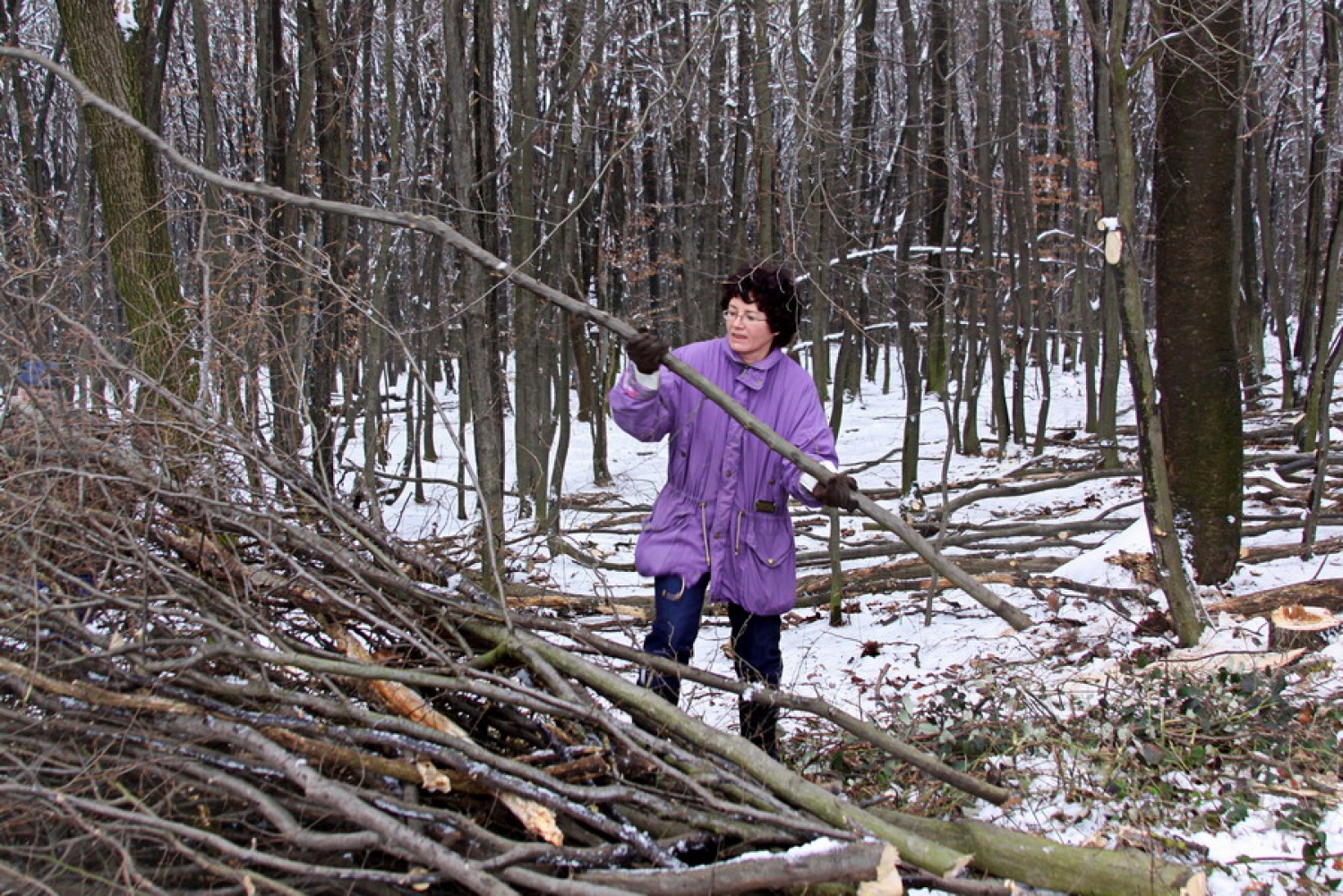 Pospravljanje drobnejšega lesa
