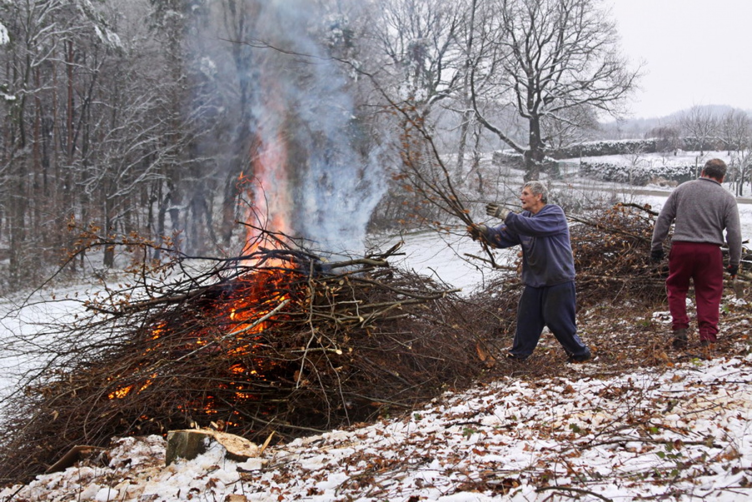 Kurjenje drobnih vej
