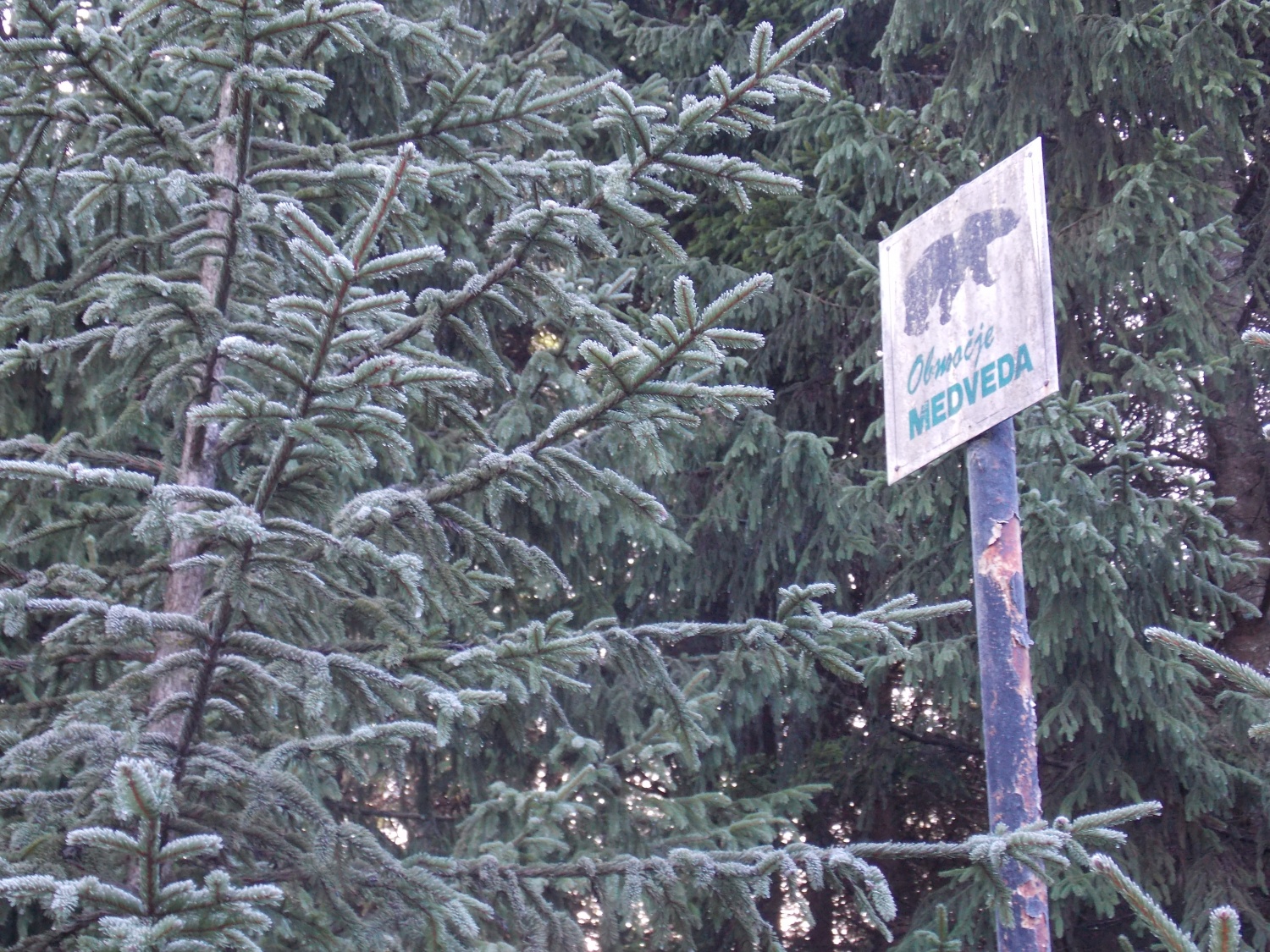 Hmmm.. smo sigurni, da gremo tu?