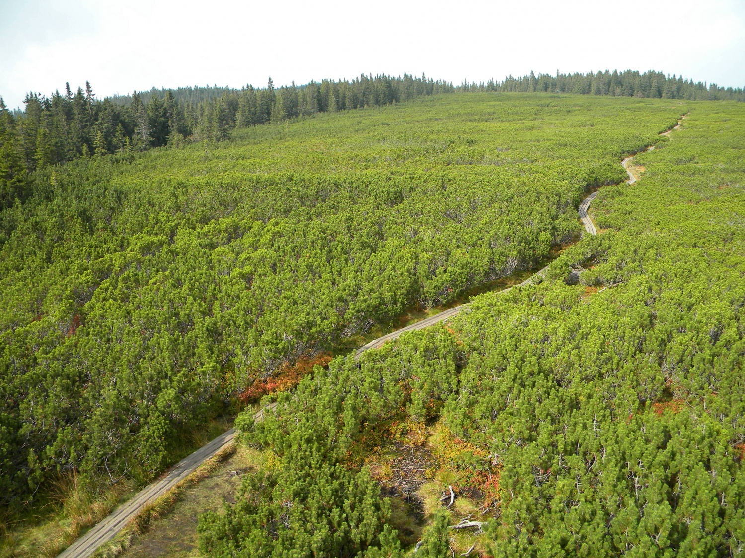 Na Lovrenških jezerih je lepo.