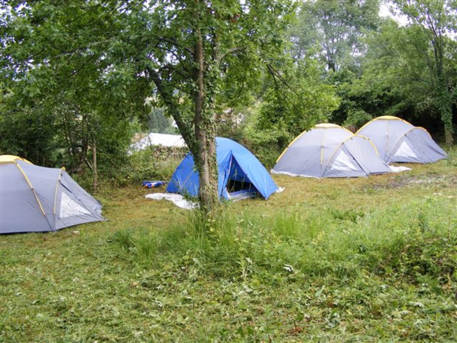 »Malo pozno, pa vendar iz srca…«
Zakaj tako?
Zato, ker se je naš letošnji tabor odvijal že daleč nazaj, od 24.-27.6.2009. Da ne bi imeli vtisa, da smo na Ptuju zaspali, vseeno poročamo o našem taboru.