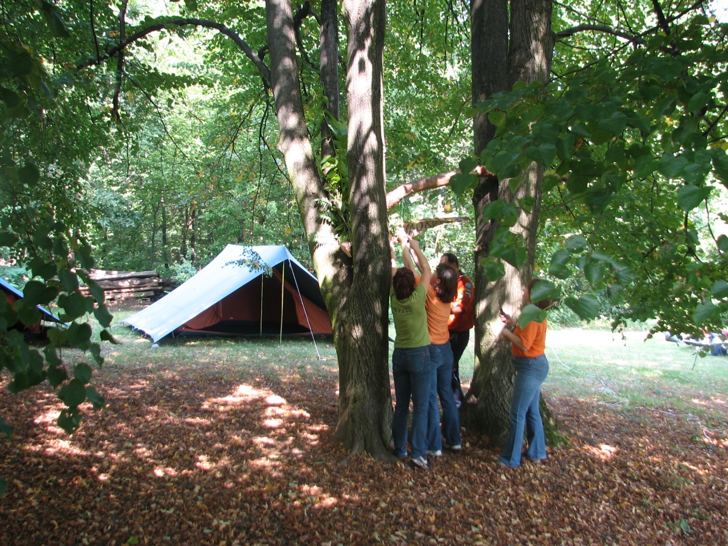 Dekleta pri postavljanju vhoda 2