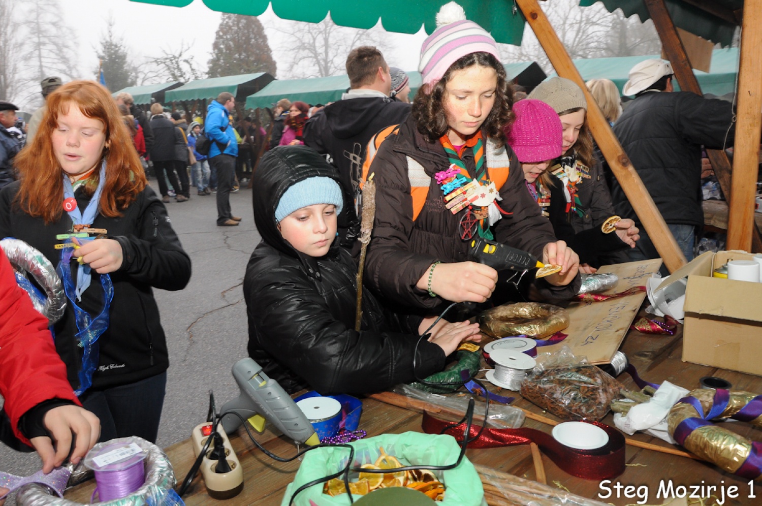 FOTO: Regijski sprejem LMB v Gornji Radgoni