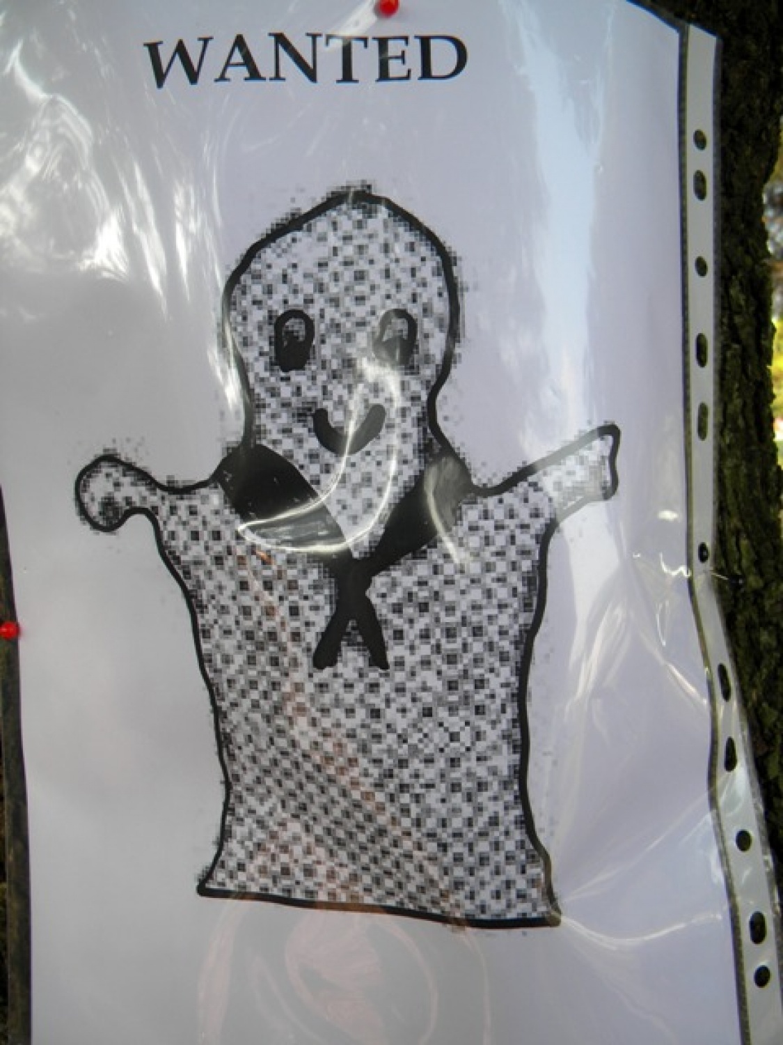 Kje je naš skavtski duh?