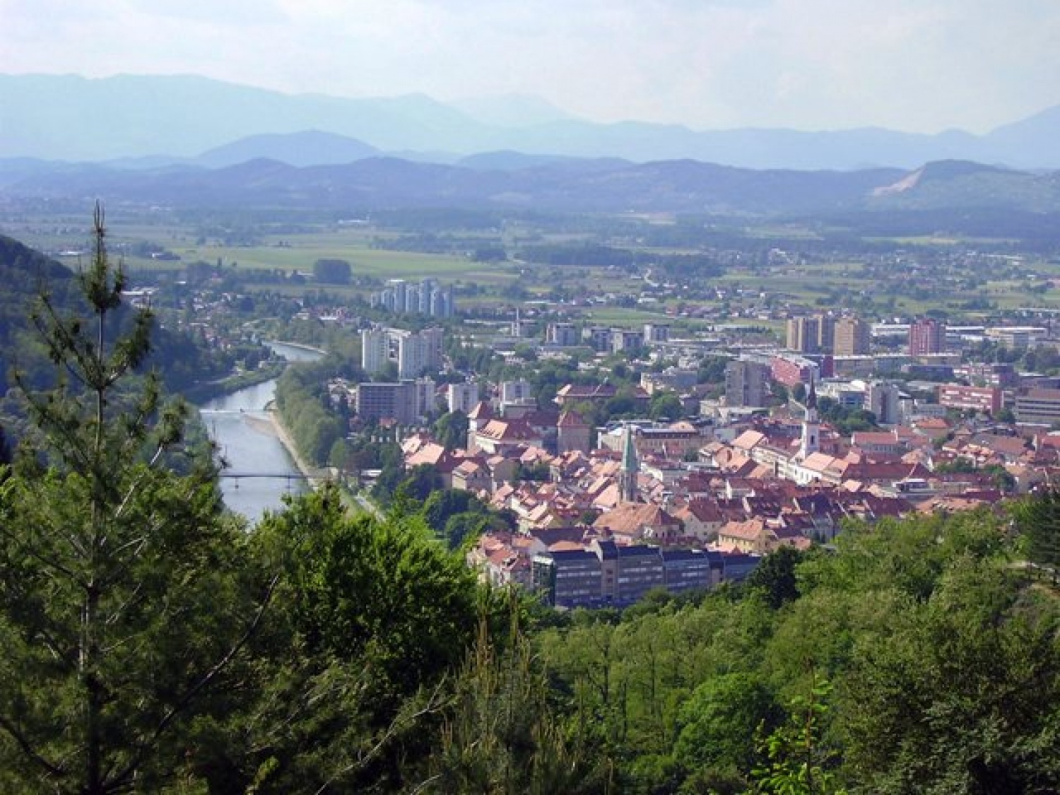 Celje