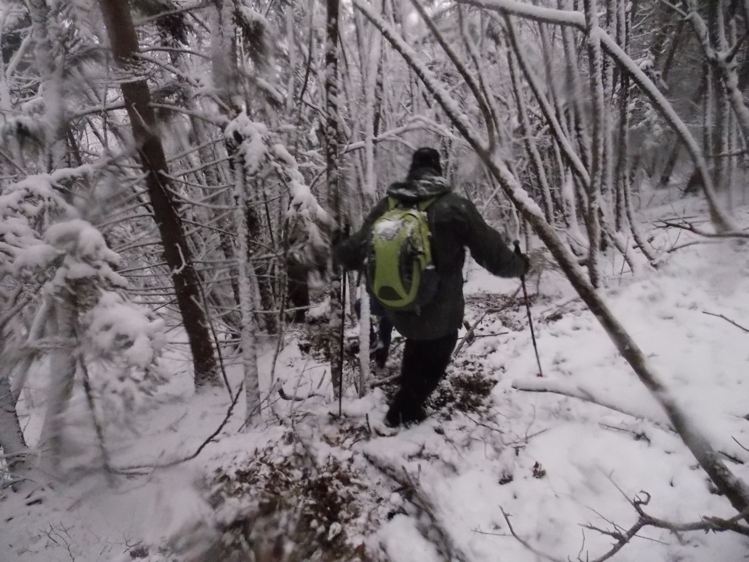 Skoraj kotaljenje v dolino :)