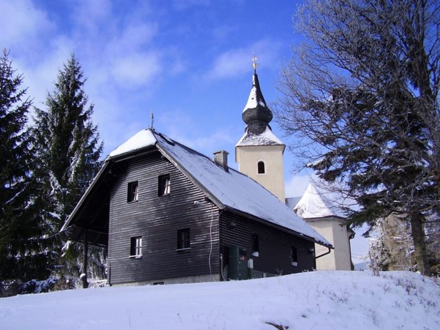 ZIMSKE RADOSTI-SVOBODNI NA SNEGU