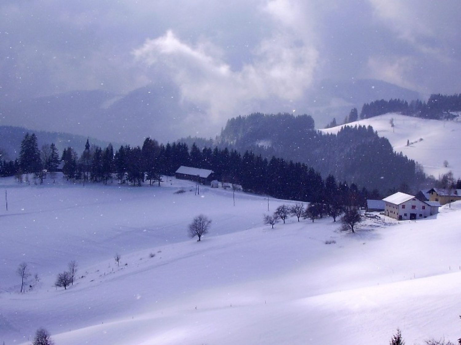 ZIMSKE RADOSTI-SVOBODNI NA SNEGU