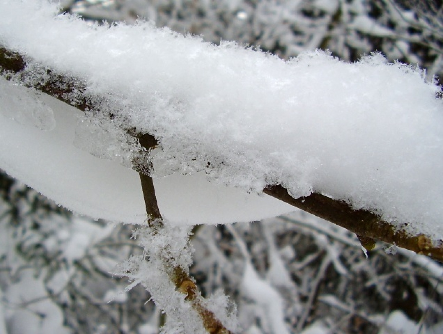 ZIMSKE RADOSTI-SVOBODNI NA SNEGU