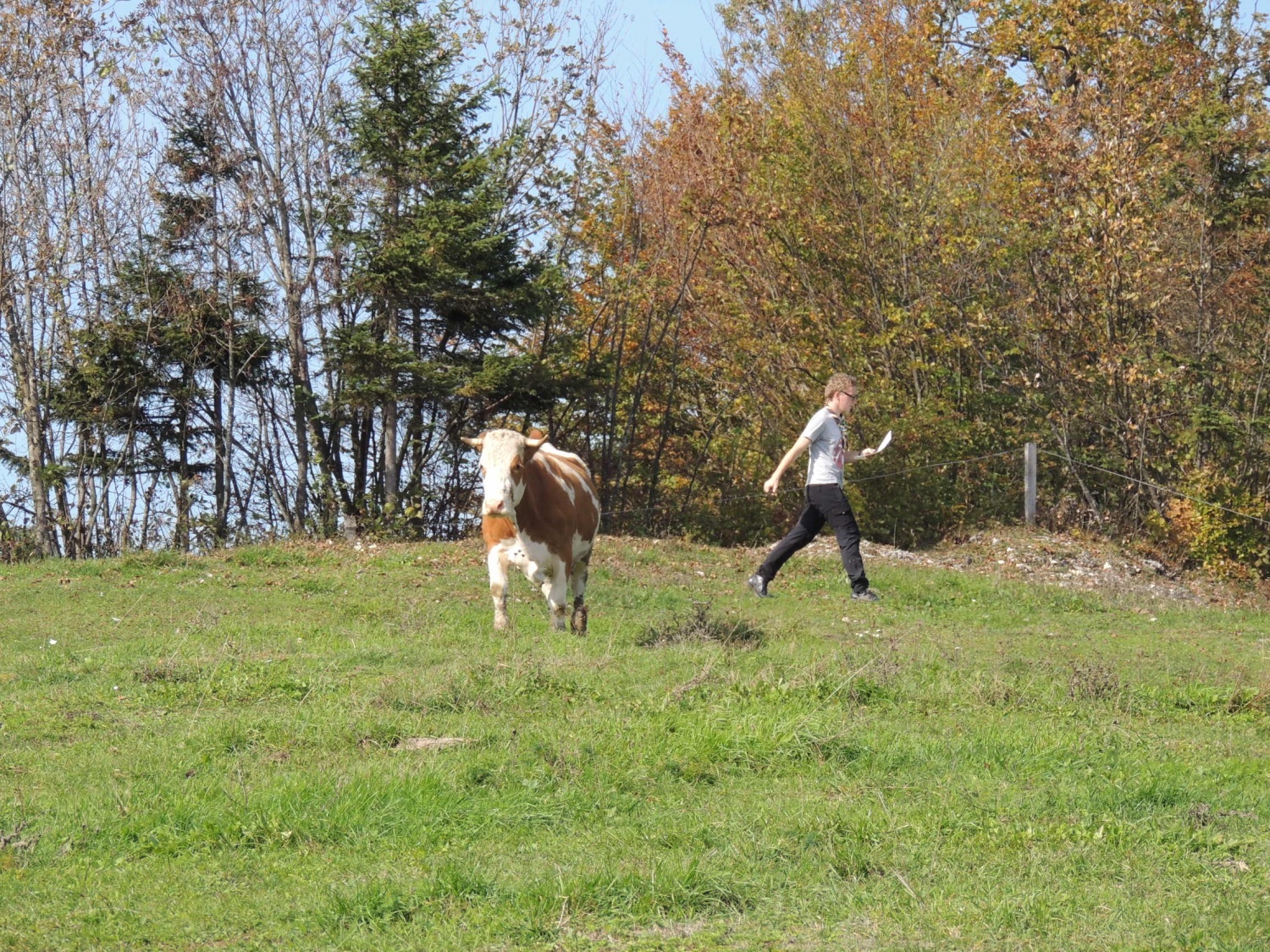 Jakec rekorder (VIDEO)