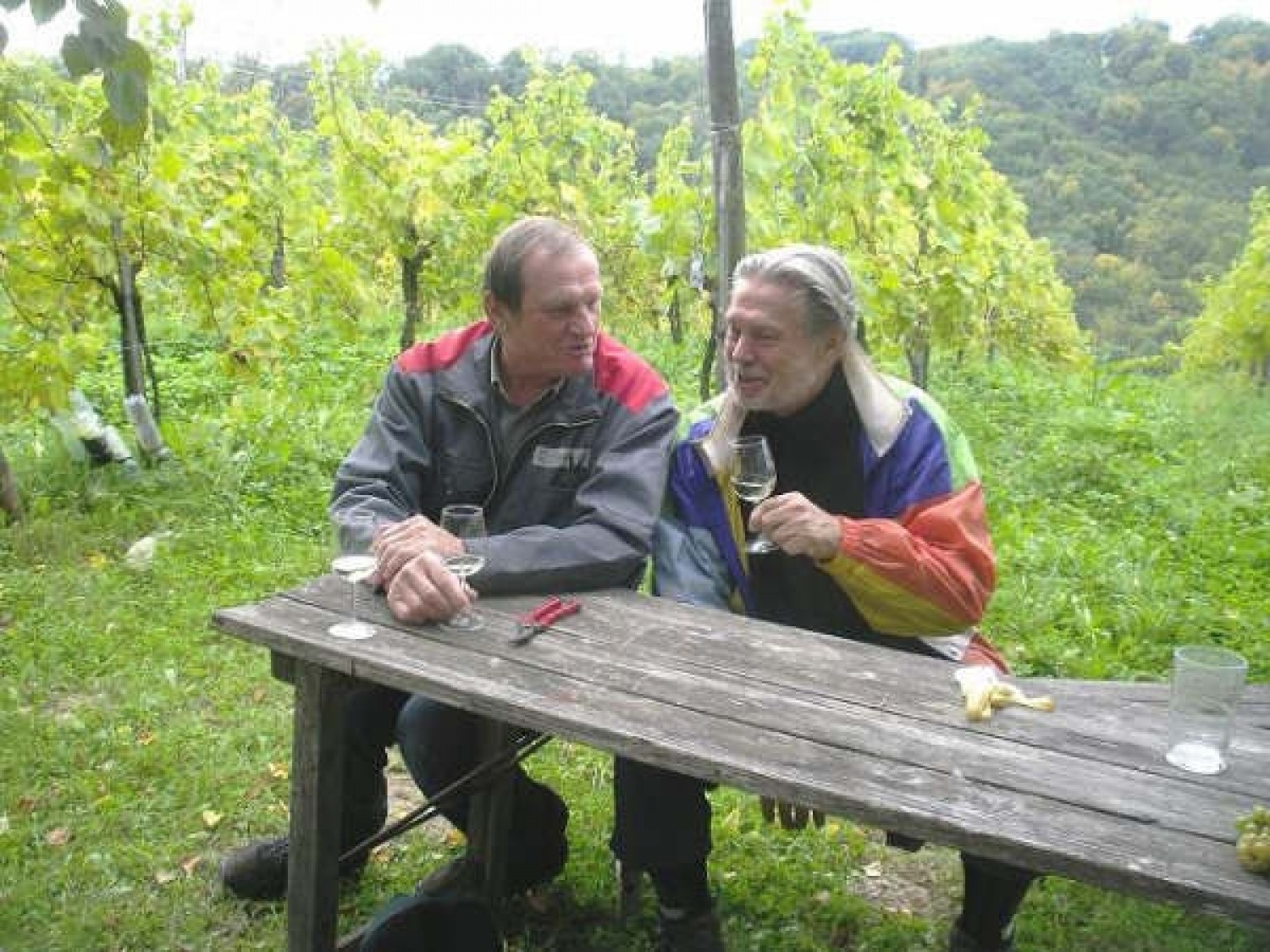 klepet dveh novih prijateljev