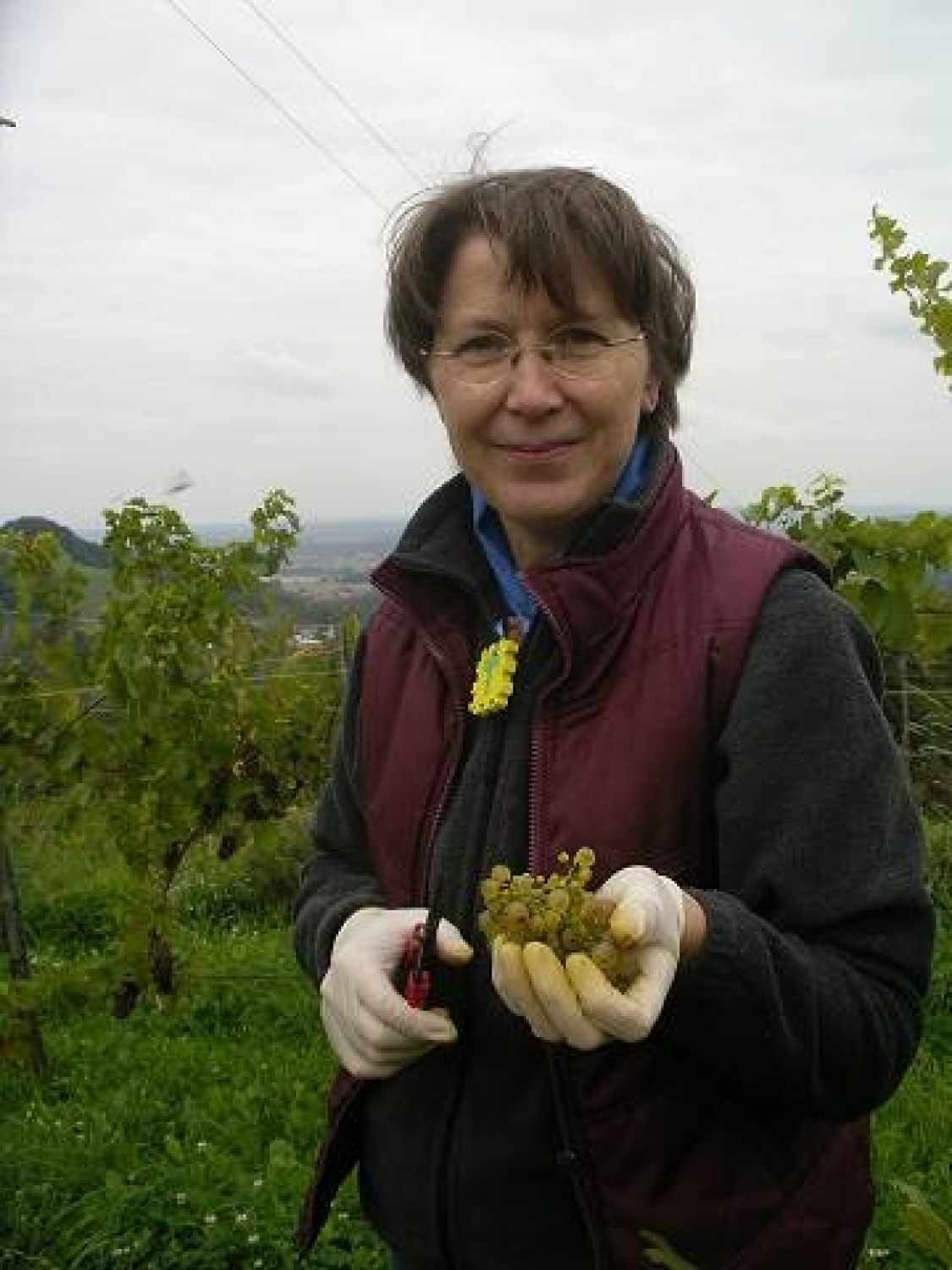 pridne skavtske roke